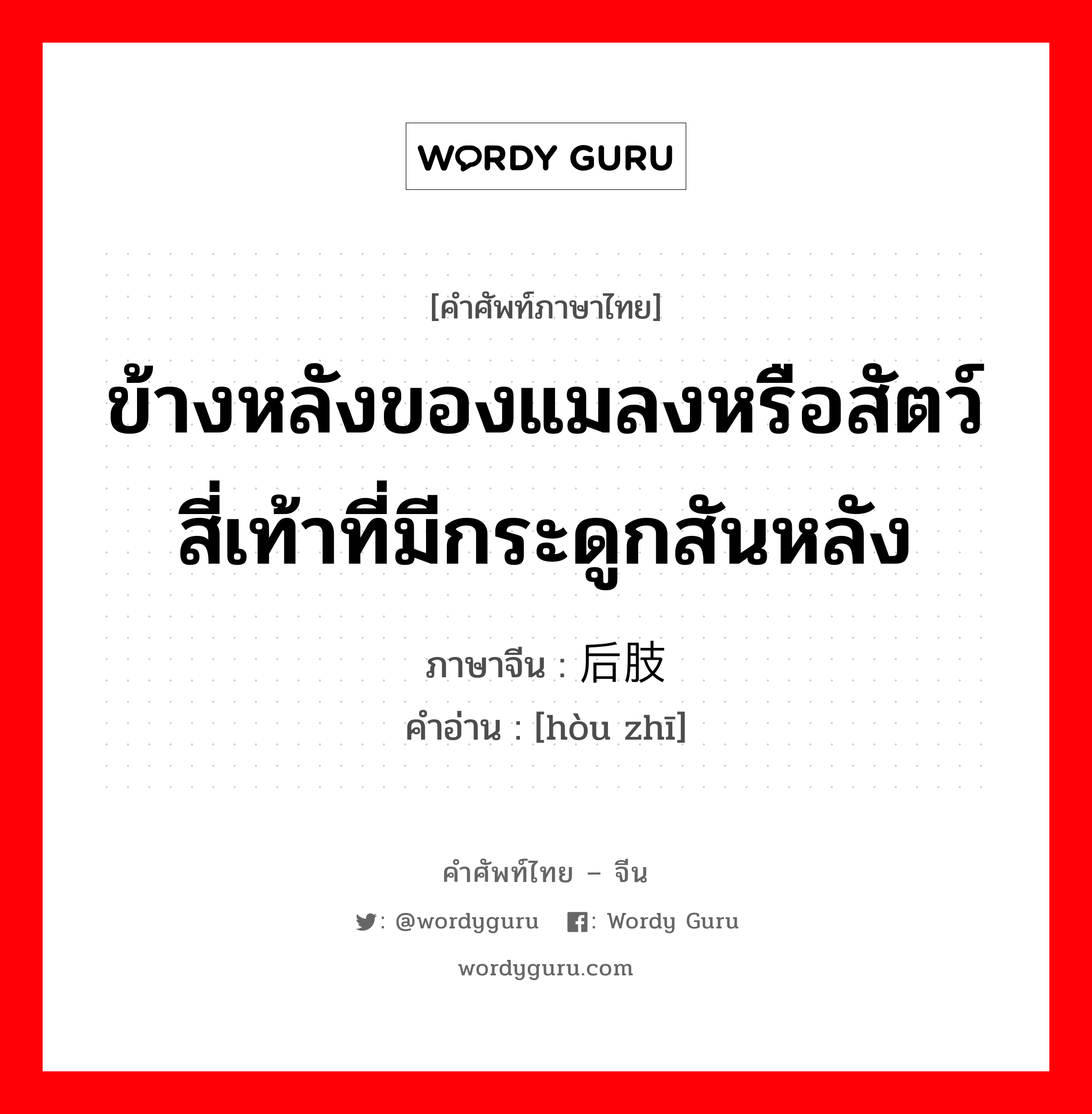 ข้างหลังของแมลงหรือสัตว์สี่เท้าที่มีกระดูกสันหลัง ภาษาจีนคืออะไร, คำศัพท์ภาษาไทย - จีน ข้างหลังของแมลงหรือสัตว์สี่เท้าที่มีกระดูกสันหลัง ภาษาจีน 后肢 คำอ่าน [hòu zhī]