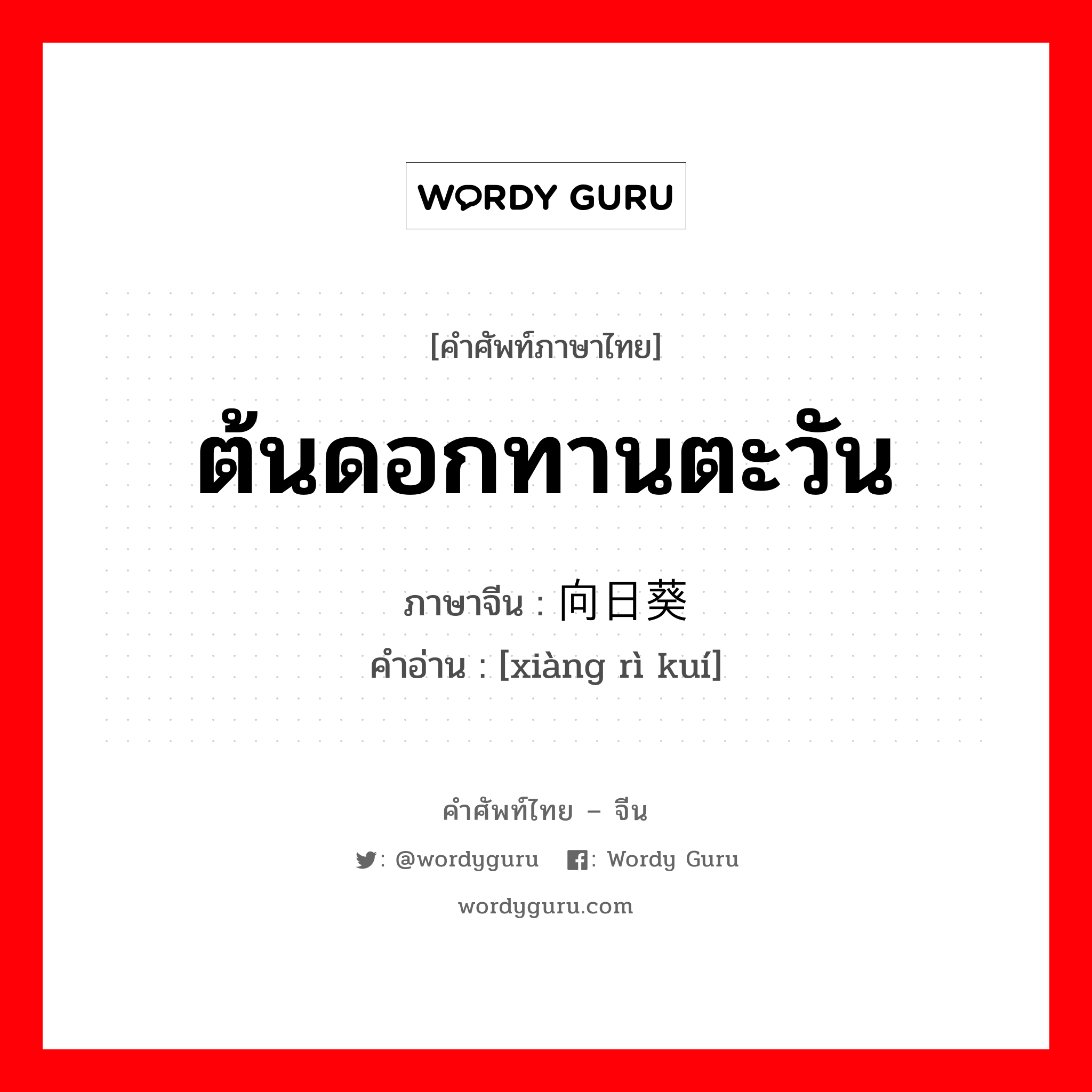 ต้นดอกทานตะวัน ภาษาจีนคืออะไร, คำศัพท์ภาษาไทย - จีน ต้นดอกทานตะวัน ภาษาจีน 向日葵 คำอ่าน [xiàng rì kuí]