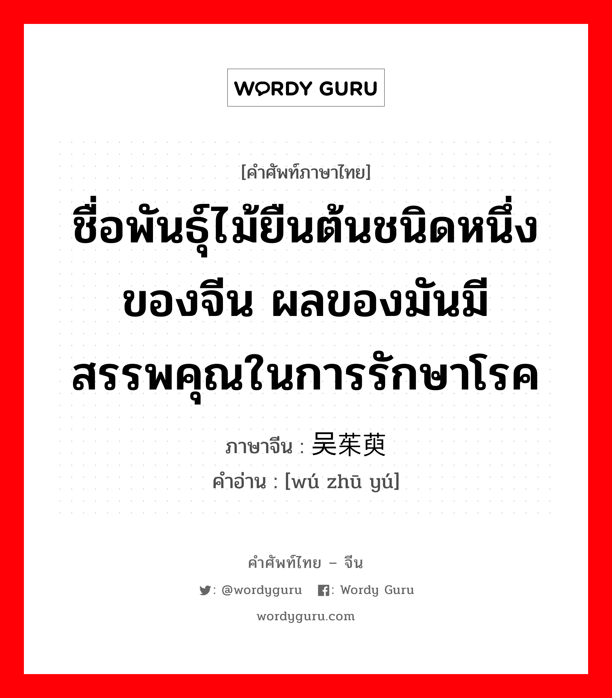 ชื่อพันธุ์ไม้ยืนต้นชนิดหนึ่งของจีน ผลของมันมีสรรพคุณในการรักษาโรค ภาษาจีนคืออะไร, คำศัพท์ภาษาไทย - จีน ชื่อพันธุ์ไม้ยืนต้นชนิดหนึ่งของจีน ผลของมันมีสรรพคุณในการรักษาโรค ภาษาจีน 吴茱萸 คำอ่าน [wú zhū yú]