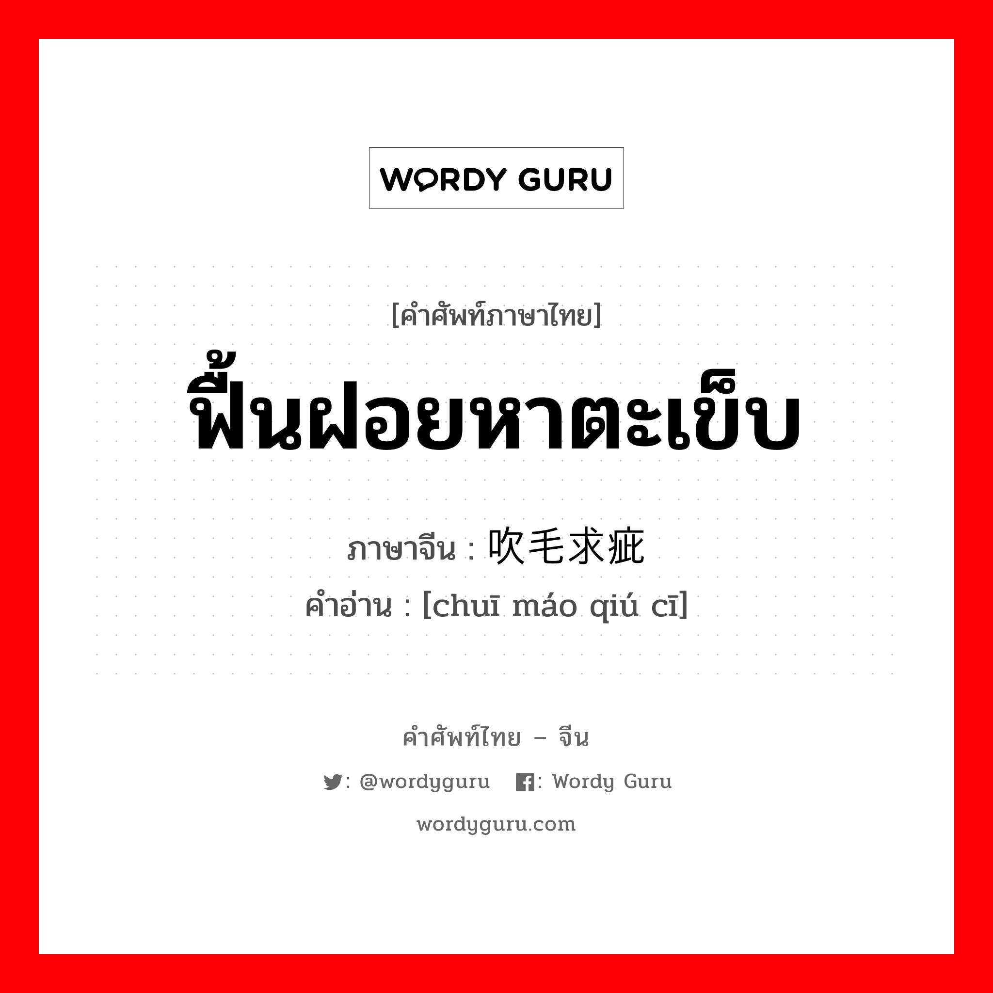 ฟื้นฝอยหาตะเข็บ ภาษาจีนคืออะไร, คำศัพท์ภาษาไทย - จีน ฟื้นฝอยหาตะเข็บ ภาษาจีน 吹毛求疵 คำอ่าน [chuī máo qiú cī]