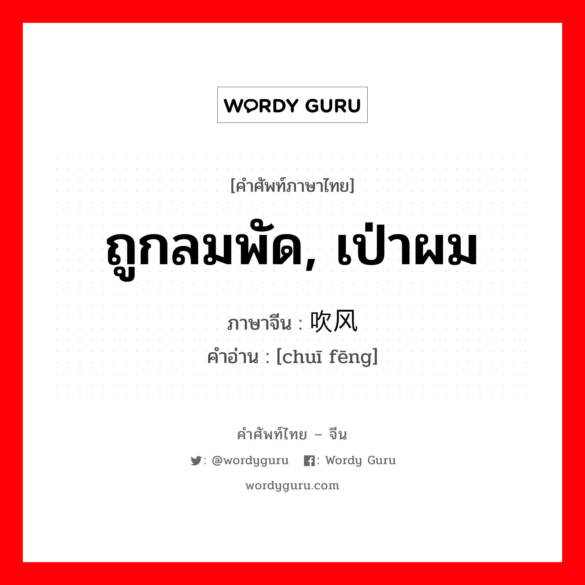 ถูกลมพัด, เป่าผม ภาษาจีนคืออะไร, คำศัพท์ภาษาไทย - จีน ถูกลมพัด, เป่าผม ภาษาจีน 吹风 คำอ่าน [chuī fēng]