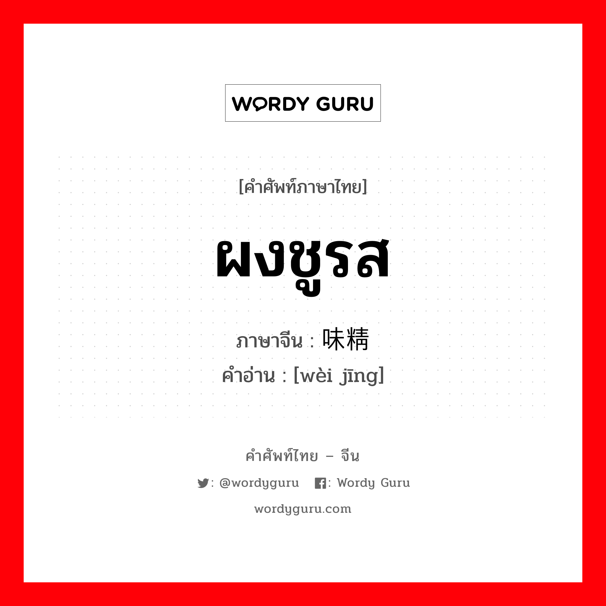 ผงชูรส ภาษาจีนคืออะไร, คำศัพท์ภาษาไทย - จีน ผงชูรส ภาษาจีน 味精 คำอ่าน [wèi jīng]