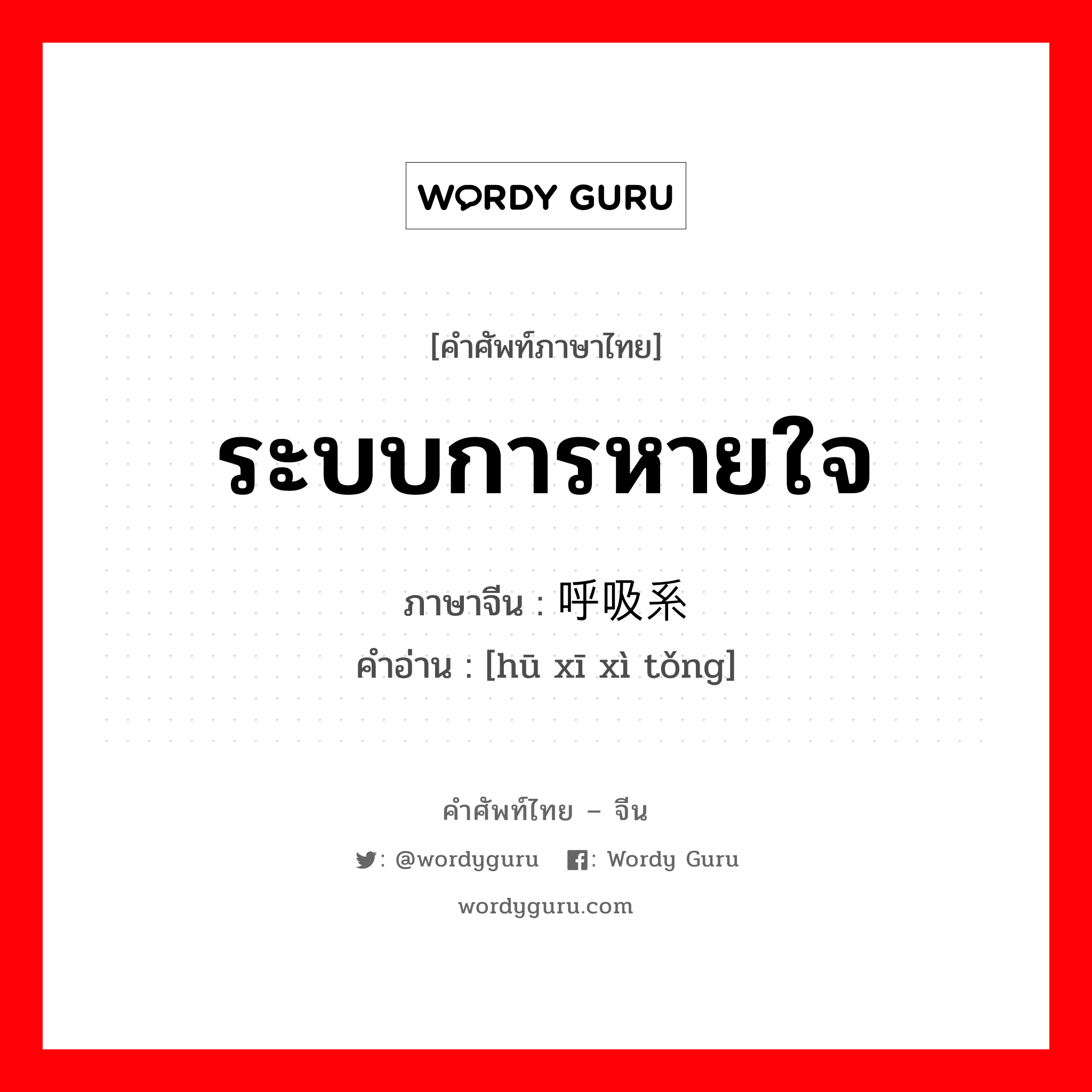 ระบบการหายใจ ภาษาจีนคืออะไร, คำศัพท์ภาษาไทย - จีน ระบบการหายใจ ภาษาจีน 呼吸系统 คำอ่าน [hū xī xì tǒng]