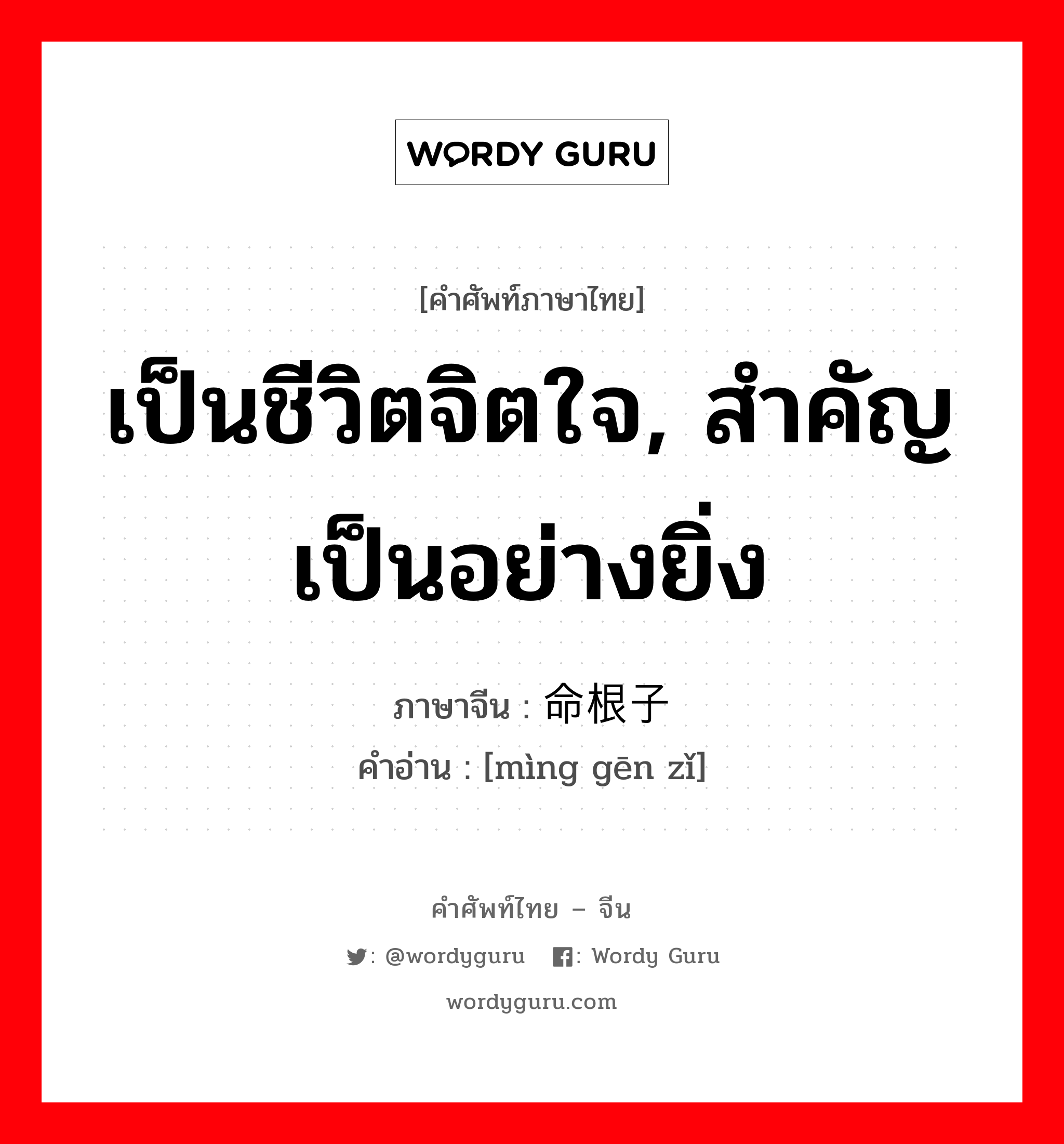 เป็นชีวิตจิตใจ, สำคัญเป็นอย่างยิ่ง ภาษาจีนคืออะไร, คำศัพท์ภาษาไทย - จีน เป็นชีวิตจิตใจ, สำคัญเป็นอย่างยิ่ง ภาษาจีน 命根子 คำอ่าน [mìng gēn zǐ]