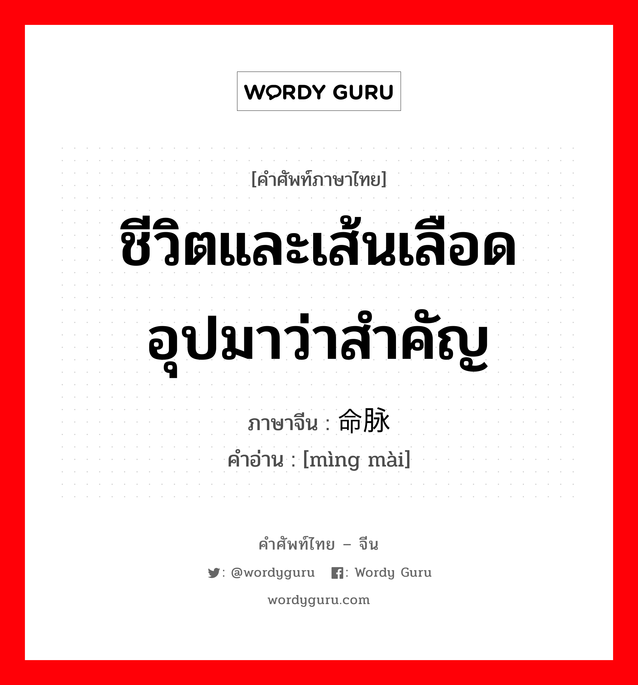 ชีวิตและเส้นเลือดอุปมาว่าสำคัญ ภาษาจีนคืออะไร, คำศัพท์ภาษาไทย - จีน ชีวิตและเส้นเลือดอุปมาว่าสำคัญ ภาษาจีน 命脉 คำอ่าน [mìng mài]