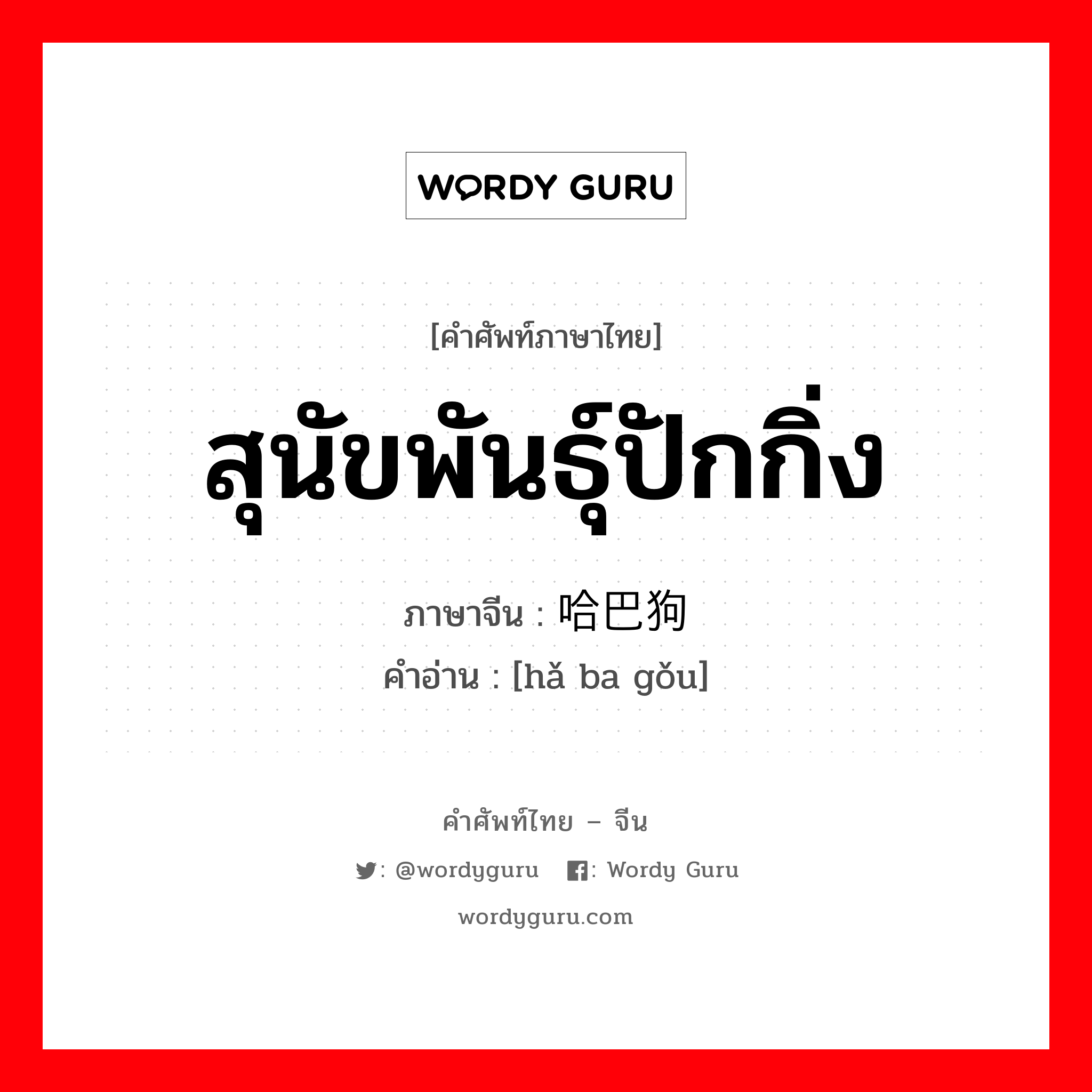 สุนัขพันธุ์ปักกิ่ง ภาษาจีนคืออะไร, คำศัพท์ภาษาไทย - จีน สุนัขพันธุ์ปักกิ่ง ภาษาจีน 哈巴狗 คำอ่าน [hǎ ba gǒu]