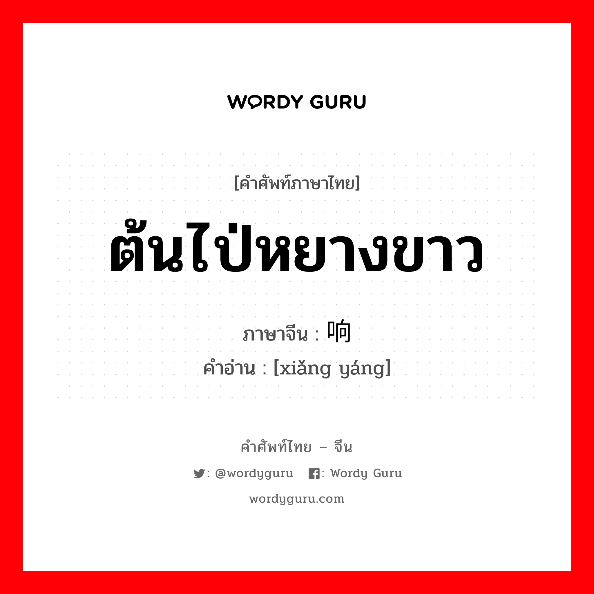 ต้นไป่หยางขาว ภาษาจีนคืออะไร, คำศัพท์ภาษาไทย - จีน ต้นไป่หยางขาว ภาษาจีน 响杨 คำอ่าน [xiǎng yáng]