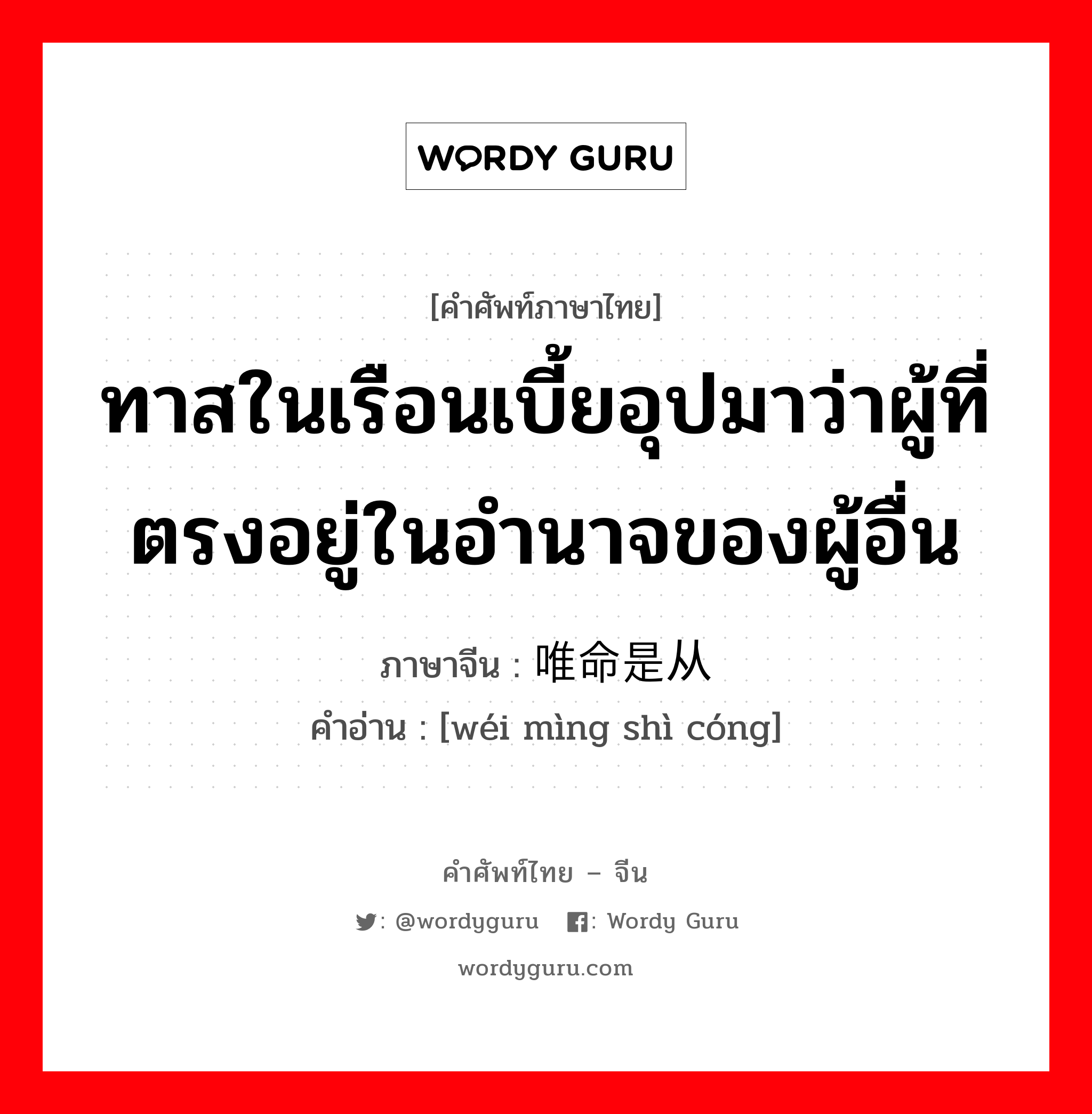 ทาสในเรือนเบี้ยอุปมาว่าผู้ที่ตรงอยู่ในอำนาจของผู้อื่น ภาษาจีนคืออะไร, คำศัพท์ภาษาไทย - จีน ทาสในเรือนเบี้ยอุปมาว่าผู้ที่ตรงอยู่ในอำนาจของผู้อื่น ภาษาจีน 唯命是从 คำอ่าน [wéi mìng shì cóng]