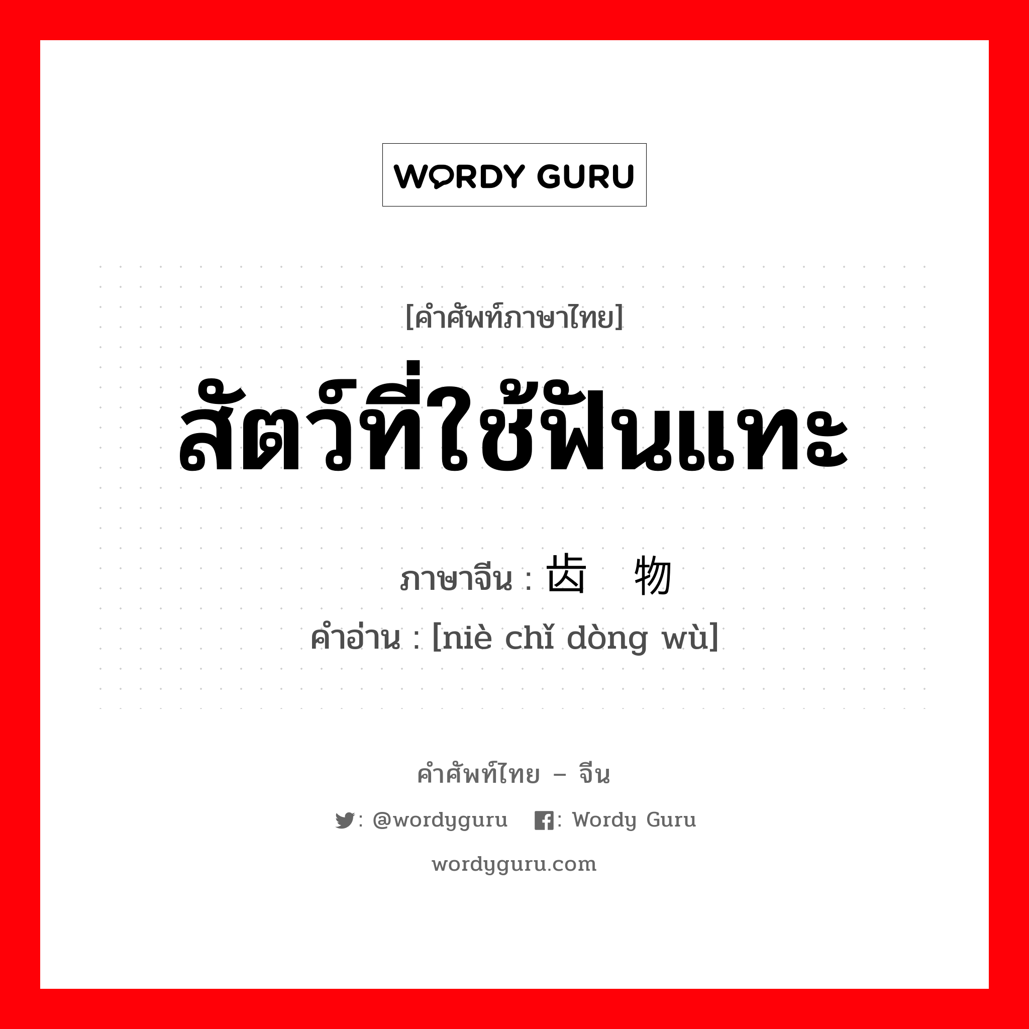 สัตว์ที่ใช้ฟันแทะ ภาษาจีนคืออะไร, คำศัพท์ภาษาไทย - จีน สัตว์ที่ใช้ฟันแทะ ภาษาจีน 啮齿动物 คำอ่าน [niè chǐ dòng wù]