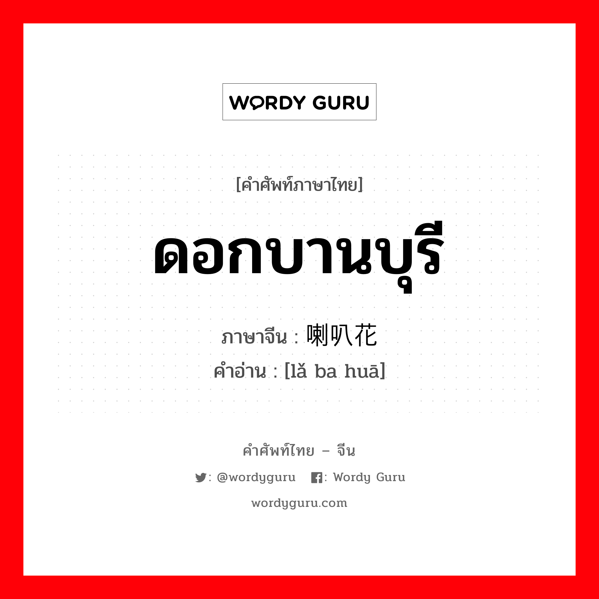 ดอกบานบุรี ภาษาจีนคืออะไร, คำศัพท์ภาษาไทย - จีน ดอกบานบุรี ภาษาจีน 喇叭花 คำอ่าน [lǎ ba huā]