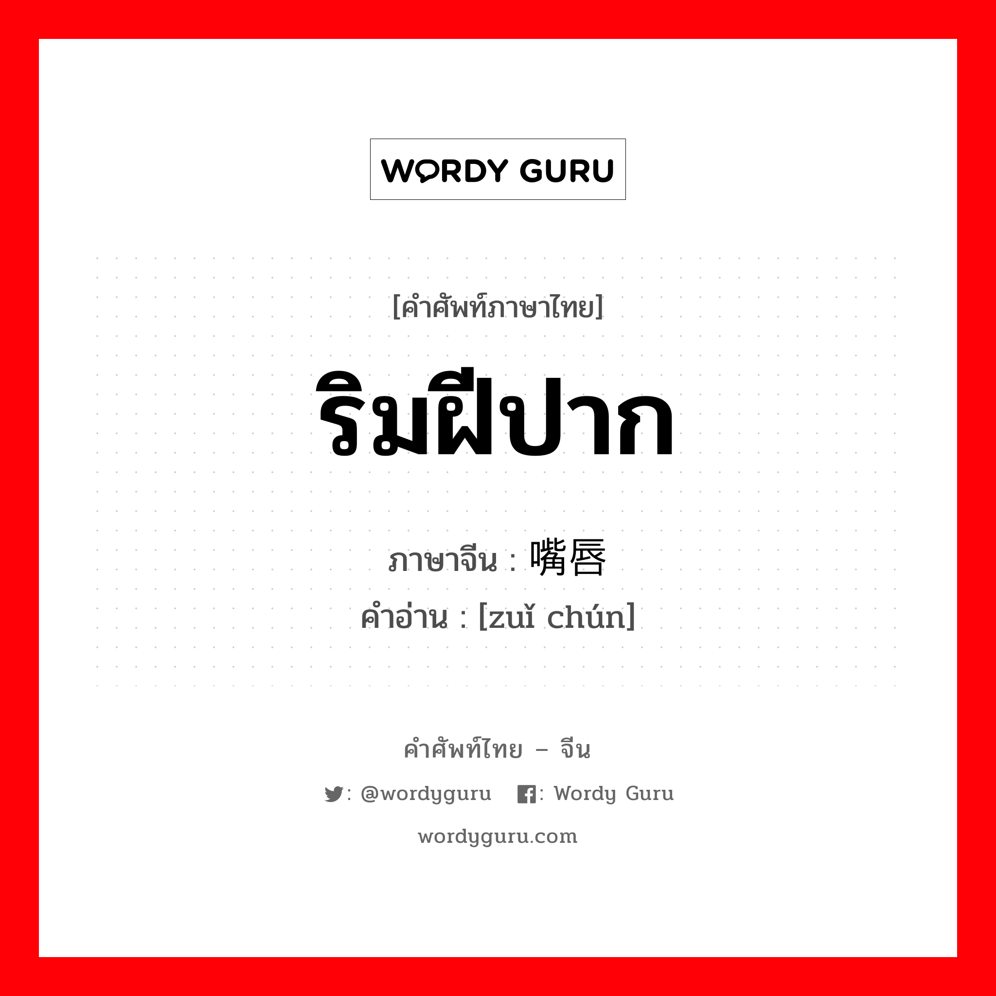 ริมฝีปาก ภาษาจีนคืออะไร, คำศัพท์ภาษาไทย - จีน ริมฝีปาก ภาษาจีน 嘴唇 คำอ่าน [zuǐ chún]