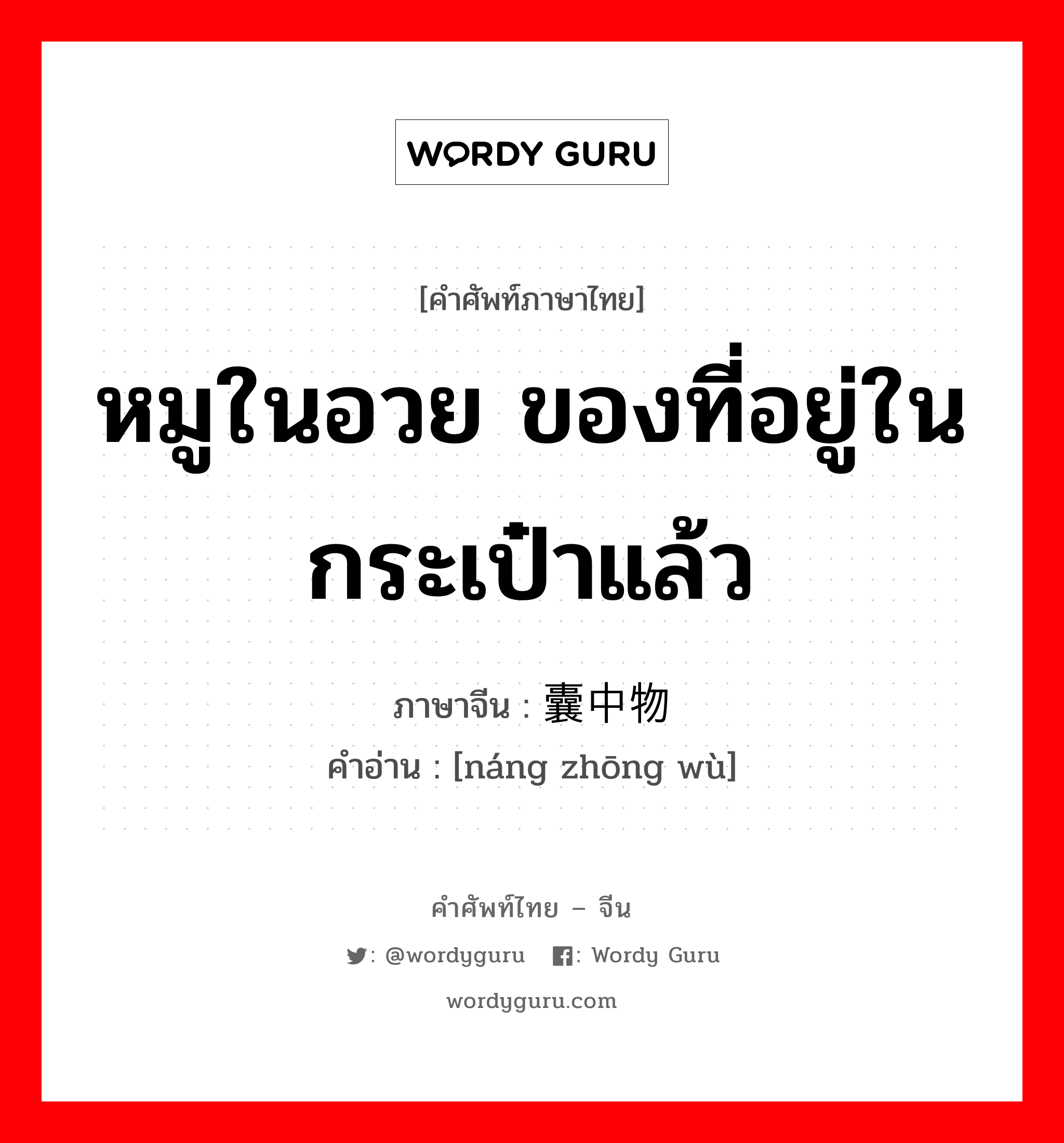 หมูในอวย ของที่อยู่ในกระเป๋าแล้ว ภาษาจีนคืออะไร, คำศัพท์ภาษาไทย - จีน หมูในอวย ของที่อยู่ในกระเป๋าแล้ว ภาษาจีน 囊中物 คำอ่าน [náng zhōng wù]