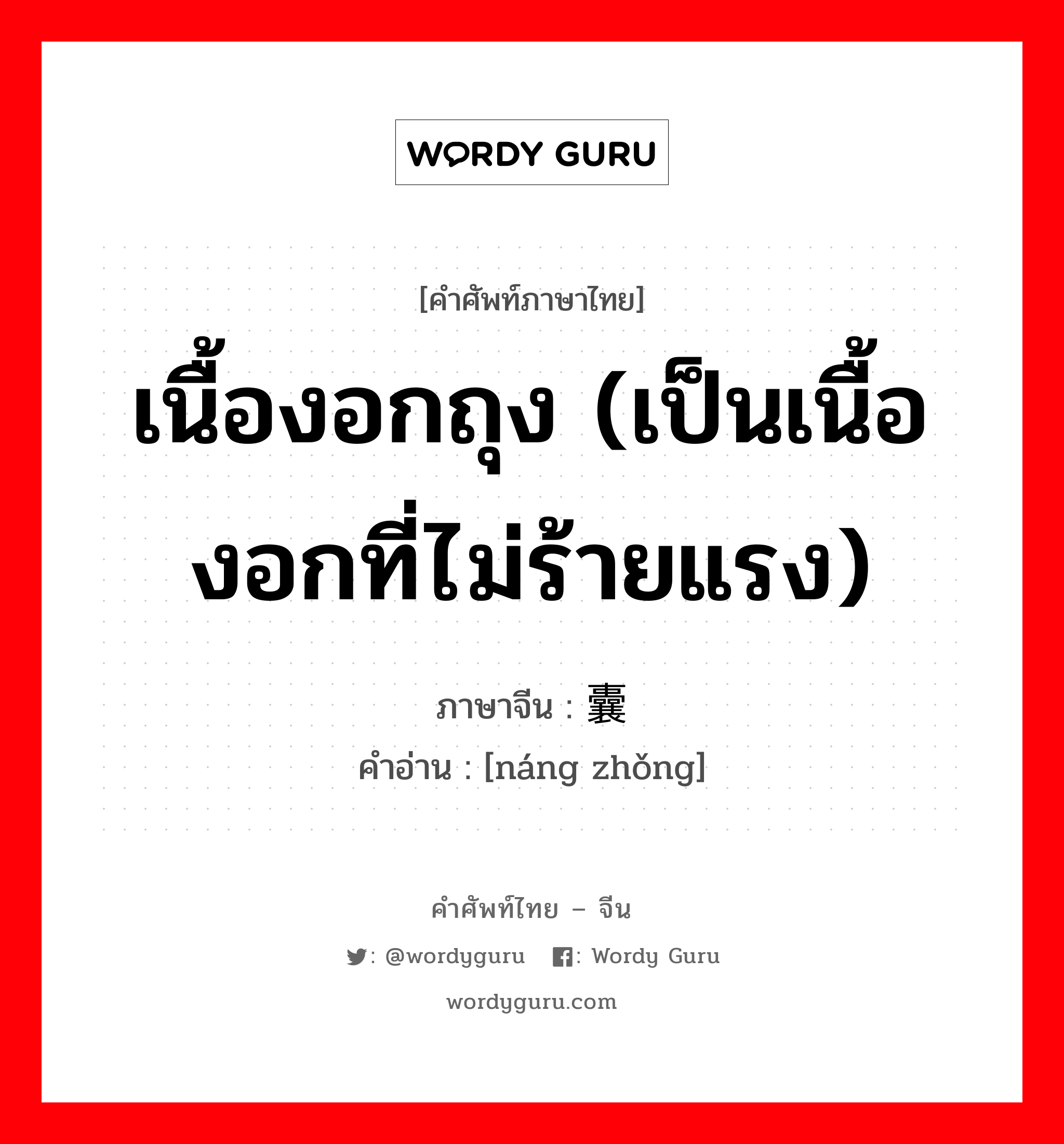 เนื้องอกถุง (เป็นเนื้องอกที่ไม่ร้ายแรง) ภาษาจีนคืออะไร, คำศัพท์ภาษาไทย - จีน เนื้องอกถุง (เป็นเนื้องอกที่ไม่ร้ายแรง) ภาษาจีน 囊肿 คำอ่าน [náng zhǒng]