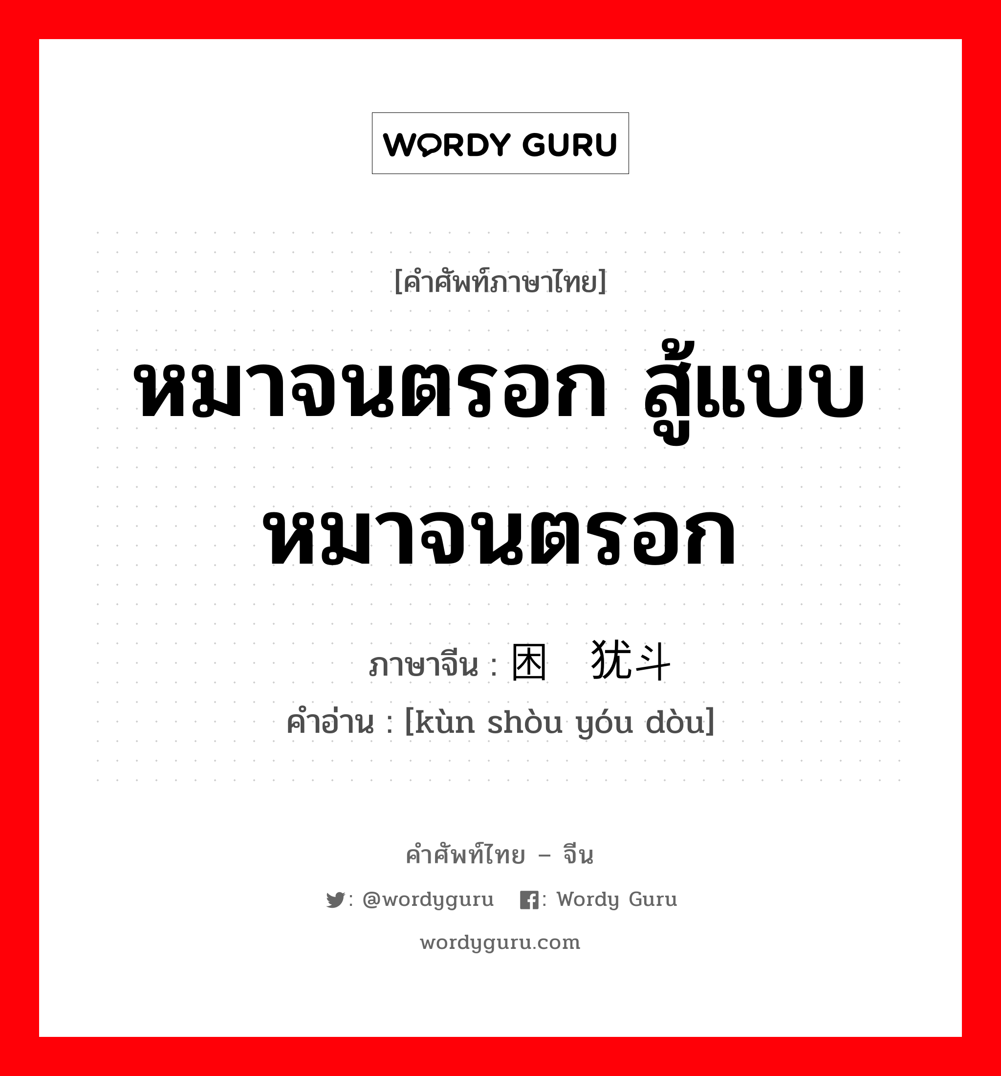 หมาจนตรอก สู้แบบหมาจนตรอก ภาษาจีนคืออะไร, คำศัพท์ภาษาไทย - จีน หมาจนตรอก สู้แบบหมาจนตรอก ภาษาจีน 困兽犹斗 คำอ่าน [kùn shòu yóu dòu]