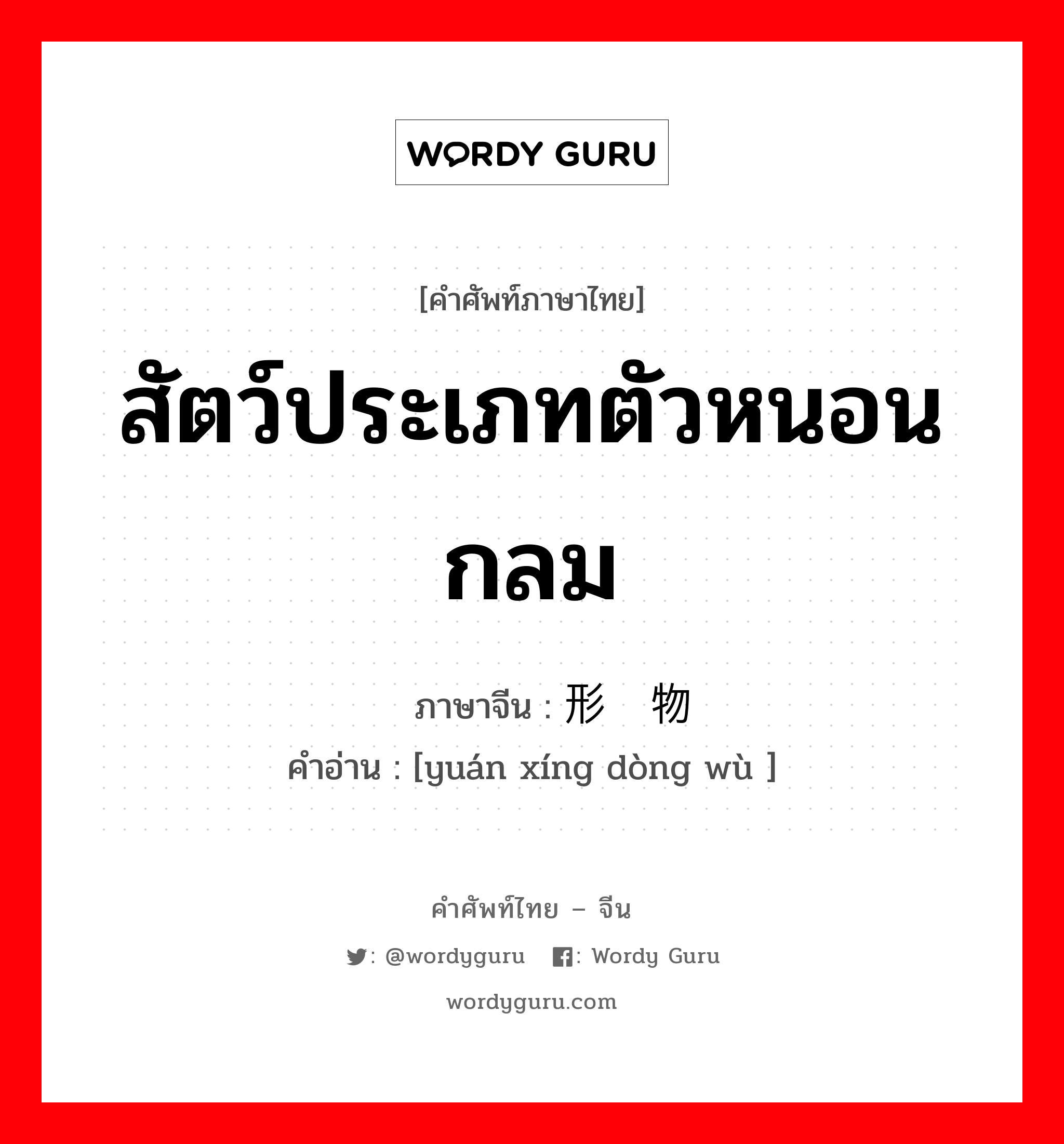 สัตว์ประเภทตัวหนอนกลม ภาษาจีนคืออะไร, คำศัพท์ภาษาไทย - จีน สัตว์ประเภทตัวหนอนกลม ภาษาจีน 圆形动物 คำอ่าน [yuán xíng dòng wù ]