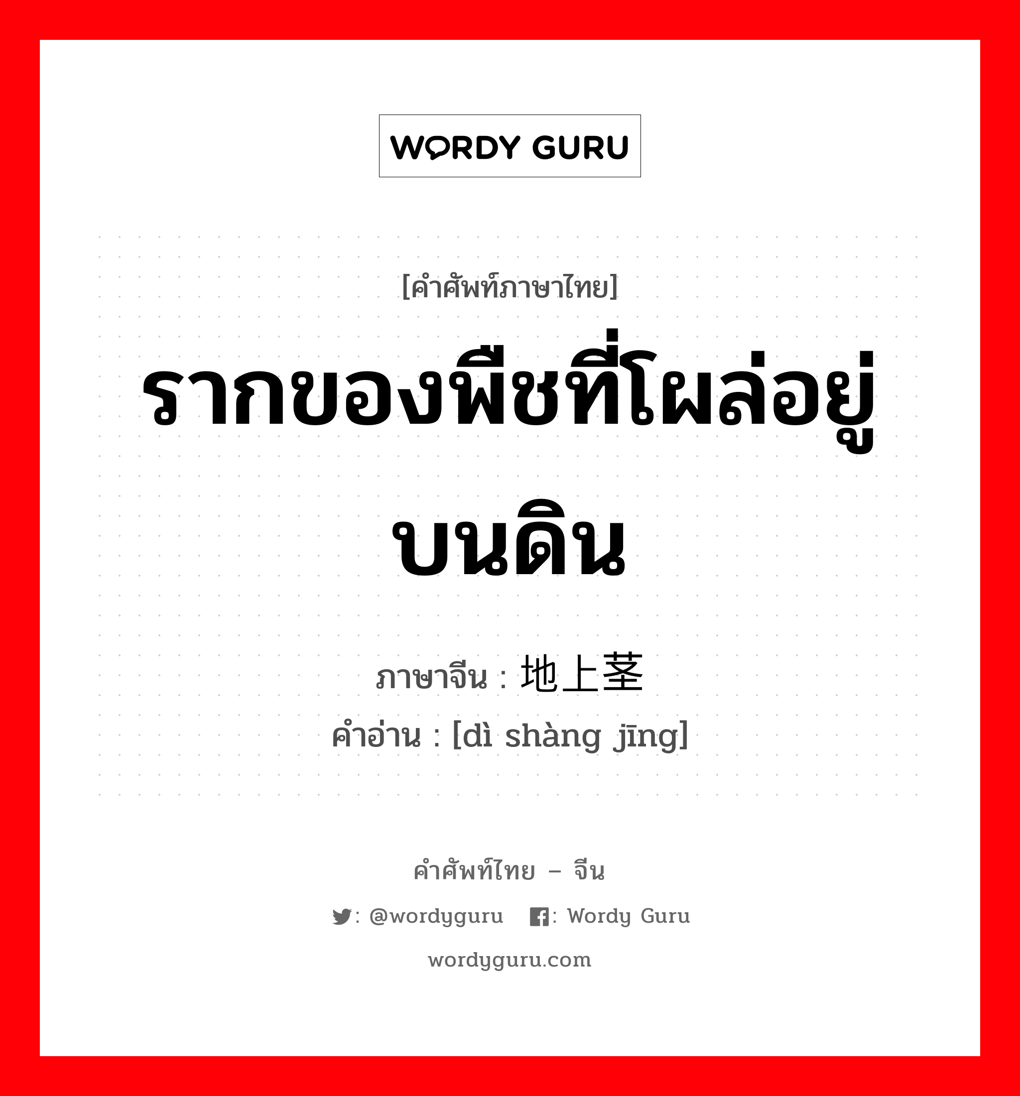 รากของพืชที่โผล่อยู่บนดิน ภาษาจีนคืออะไร, คำศัพท์ภาษาไทย - จีน รากของพืชที่โผล่อยู่บนดิน ภาษาจีน 地上茎 คำอ่าน [dì shàng jīng]