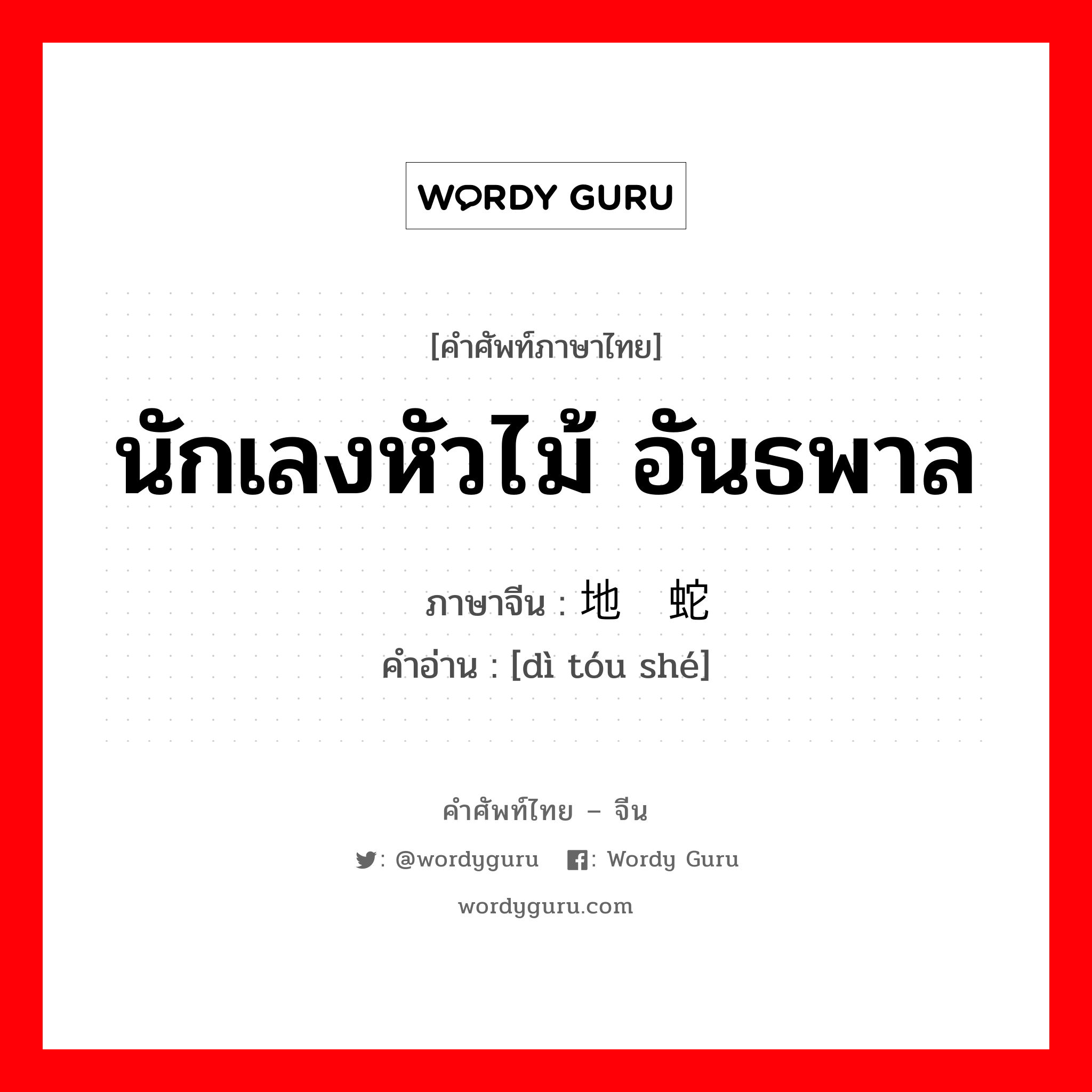 นักเลงหัวไม้ อันธพาล ภาษาจีนคืออะไร, คำศัพท์ภาษาไทย - จีน นักเลงหัวไม้ อันธพาล ภาษาจีน 地头蛇 คำอ่าน [dì tóu shé]