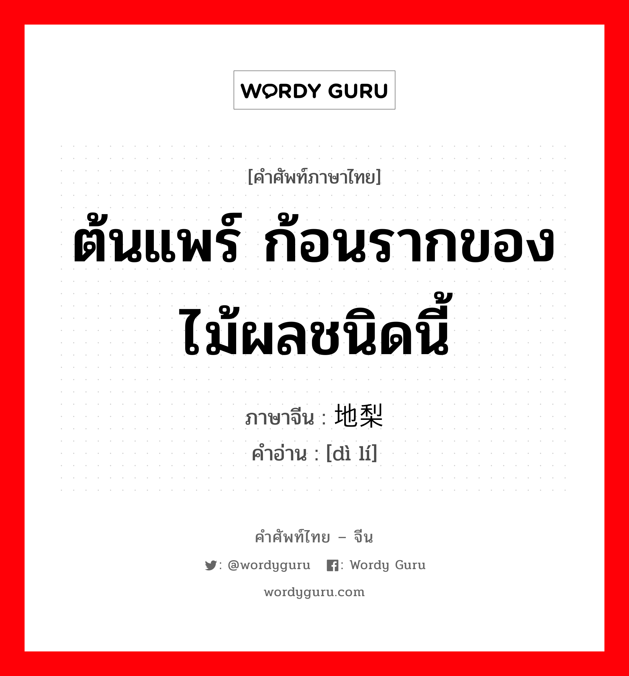 ต้นแพร์ ก้อนรากของไม้ผลชนิดนี้ ภาษาจีนคืออะไร, คำศัพท์ภาษาไทย - จีน ต้นแพร์ ก้อนรากของไม้ผลชนิดนี้ ภาษาจีน 地梨 คำอ่าน [dì lí]