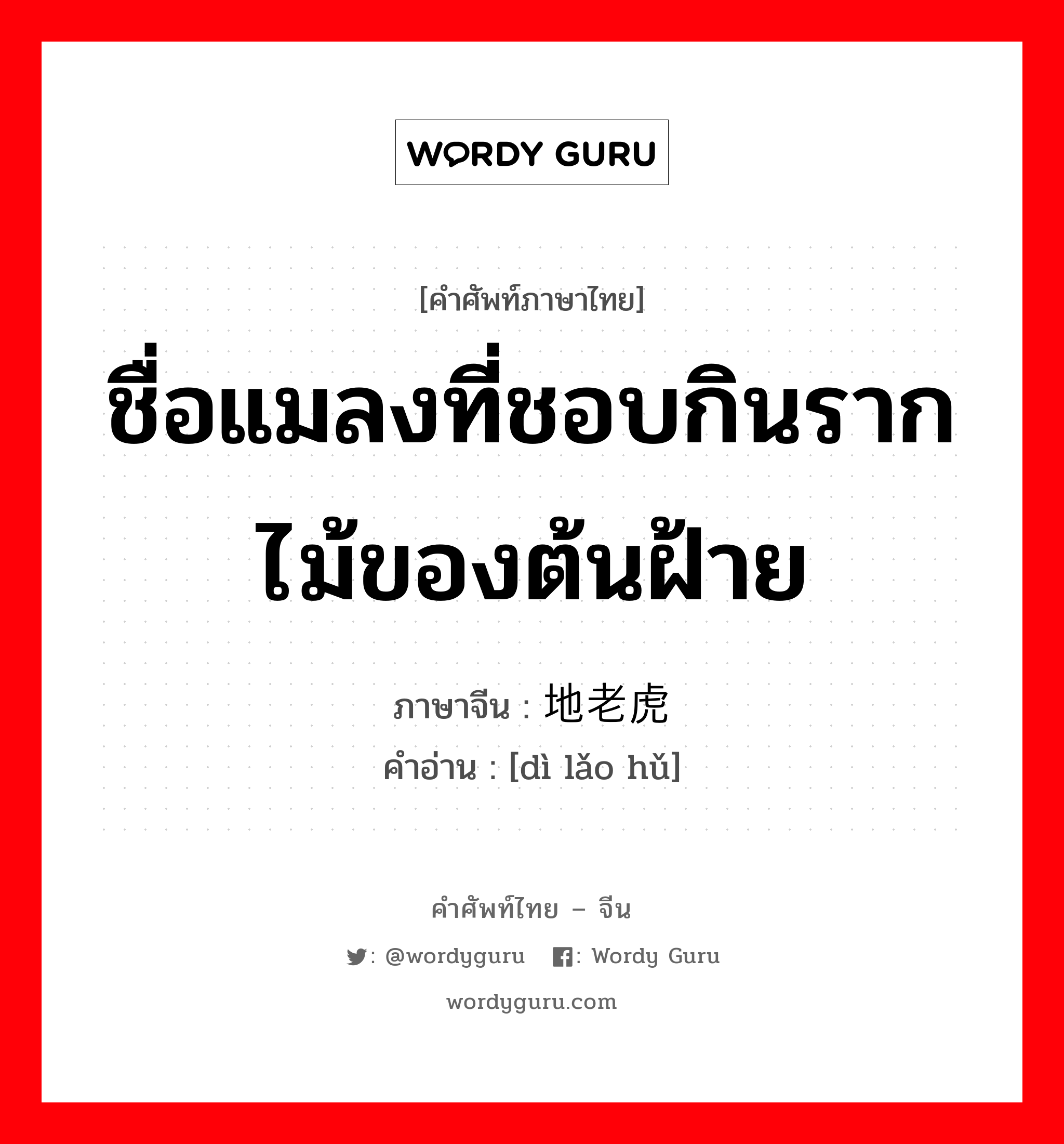 ชื่อแมลงที่ชอบกินรากไม้ของต้นฝ้าย ภาษาจีนคืออะไร, คำศัพท์ภาษาไทย - จีน ชื่อแมลงที่ชอบกินรากไม้ของต้นฝ้าย ภาษาจีน 地老虎 คำอ่าน [dì lǎo hǔ]