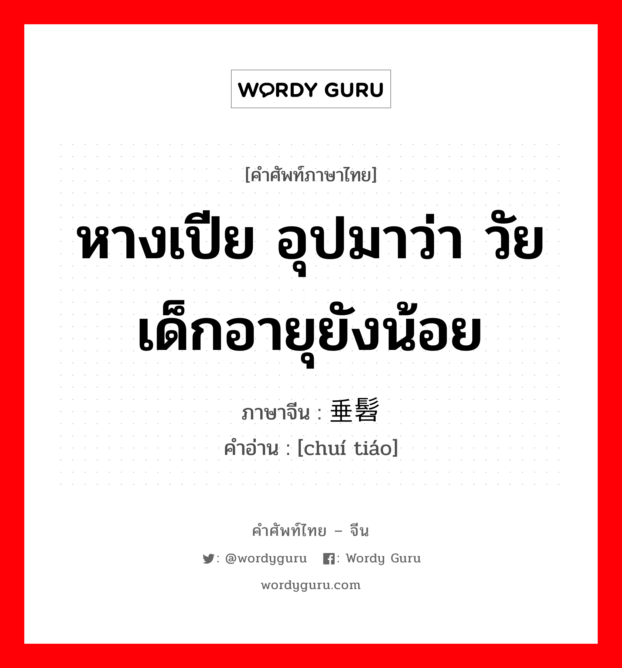 หางเปีย อุปมาว่า วัยเด็กอายุยังน้อย ภาษาจีนคืออะไร, คำศัพท์ภาษาไทย - จีน หางเปีย อุปมาว่า วัยเด็กอายุยังน้อย ภาษาจีน 垂髫 คำอ่าน [chuí tiáo]