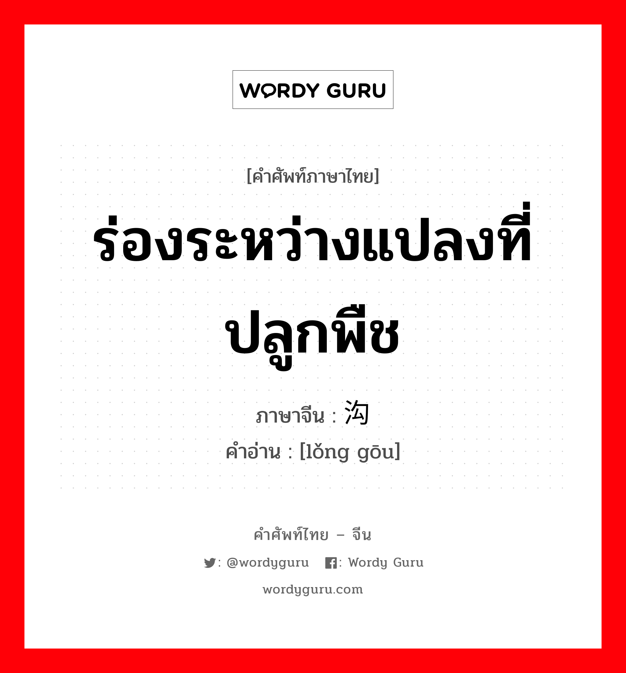 ร่องระหว่างแปลงที่ปลูกพืช ภาษาจีนคืออะไร, คำศัพท์ภาษาไทย - จีน ร่องระหว่างแปลงที่ปลูกพืช ภาษาจีน 垄沟 คำอ่าน [lǒng gōu]