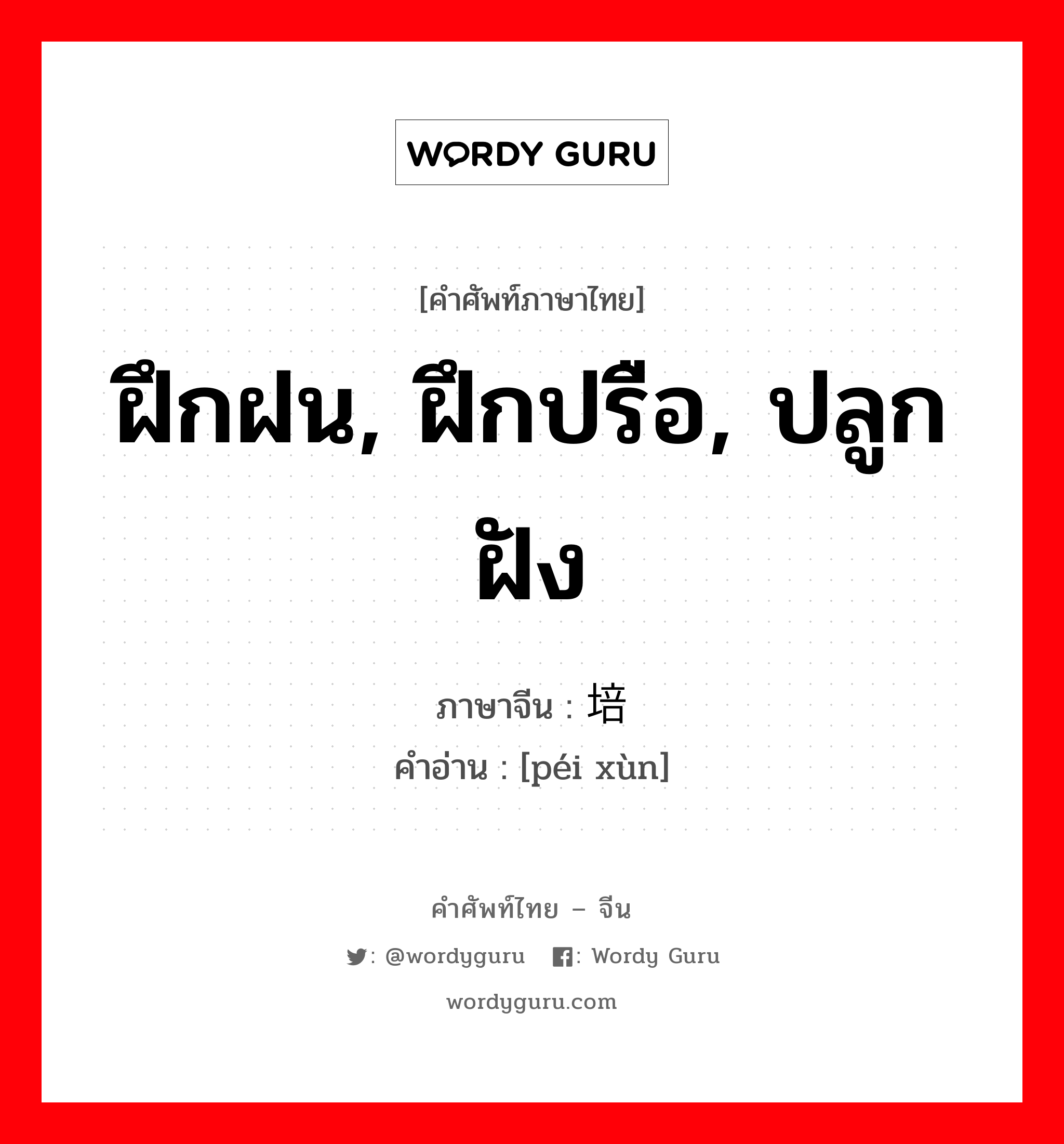 ฝึกฝน, ฝึกปรือ, ปลูกฝัง ภาษาจีนคืออะไร, คำศัพท์ภาษาไทย - จีน ฝึกฝน, ฝึกปรือ, ปลูกฝัง ภาษาจีน 培训 คำอ่าน [péi xùn]