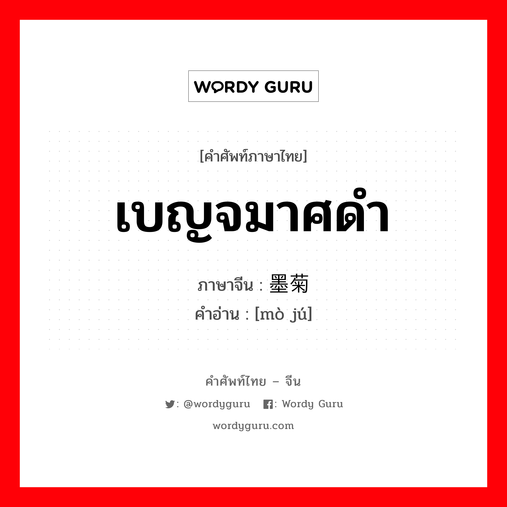 เบญจมาศดำ ภาษาจีนคืออะไร, คำศัพท์ภาษาไทย - จีน เบญจมาศดำ ภาษาจีน 墨菊 คำอ่าน [mò jú]