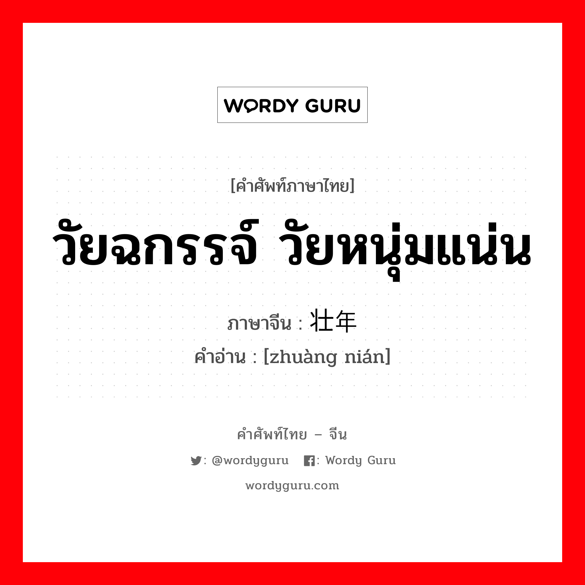 วัยฉกรรจ์ วัยหนุ่มแน่น ภาษาจีนคืออะไร, คำศัพท์ภาษาไทย - จีน วัยฉกรรจ์ วัยหนุ่มแน่น ภาษาจีน 壮年 คำอ่าน [zhuàng nián]