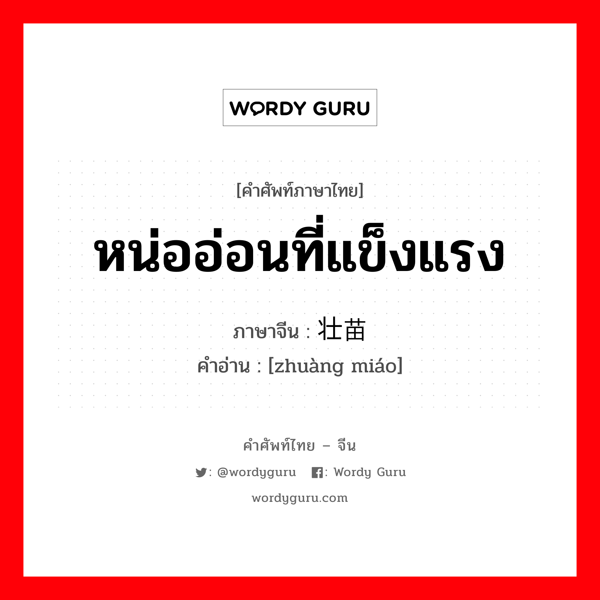 หน่ออ่อนที่แข็งแรง ภาษาจีนคืออะไร, คำศัพท์ภาษาไทย - จีน หน่ออ่อนที่แข็งแรง ภาษาจีน 壮苗 คำอ่าน [zhuàng miáo]