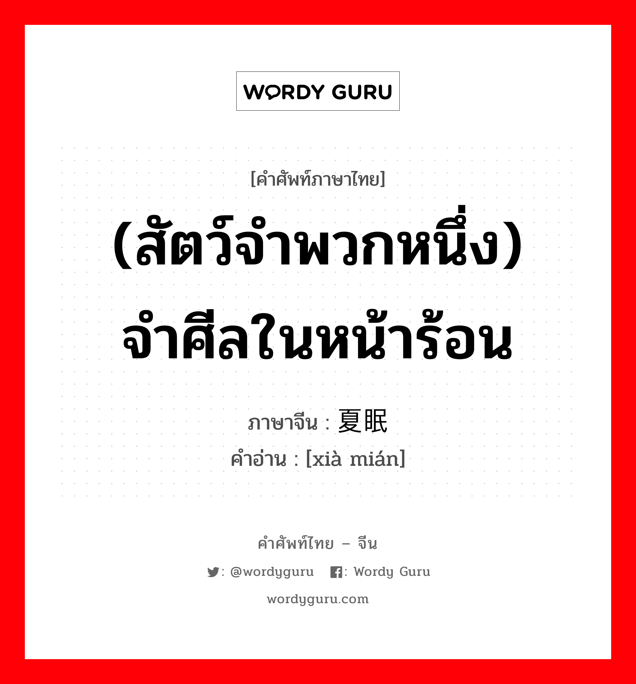 (สัตว์จำพวกหนึ่ง) จำศีลในหน้าร้อน ภาษาจีนคืออะไร, คำศัพท์ภาษาไทย - จีน (สัตว์จำพวกหนึ่ง) จำศีลในหน้าร้อน ภาษาจีน 夏眠 คำอ่าน [xià mián]