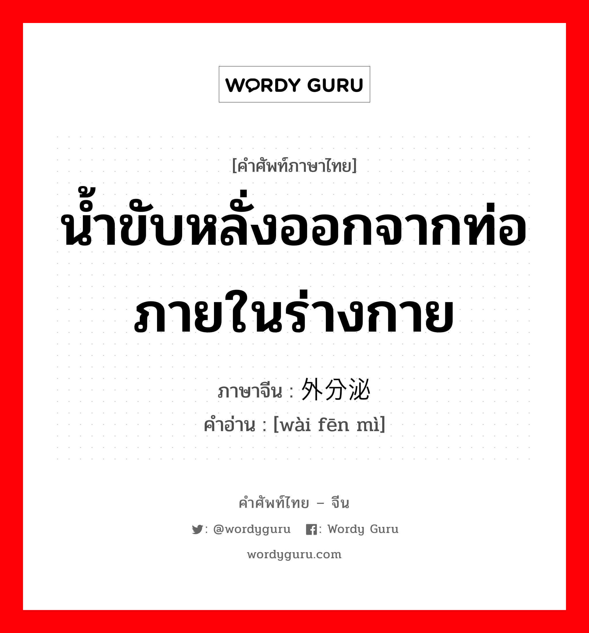 น้ำขับหลั่งออกจากท่อภายในร่างกาย ภาษาจีนคืออะไร, คำศัพท์ภาษาไทย - จีน น้ำขับหลั่งออกจากท่อภายในร่างกาย ภาษาจีน 外分泌 คำอ่าน [wài fēn mì]