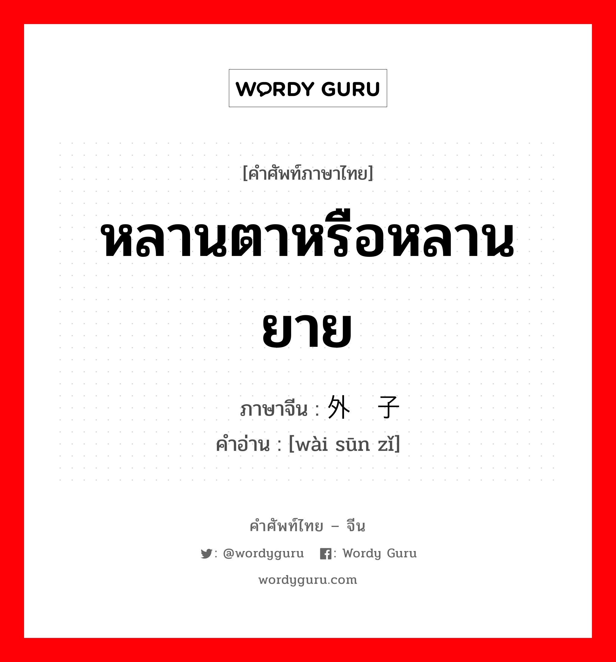 หลานตาหรือหลานยาย ภาษาจีนคืออะไร, คำศัพท์ภาษาไทย - จีน หลานตาหรือหลานยาย ภาษาจีน 外孙子 คำอ่าน [wài sūn zǐ]