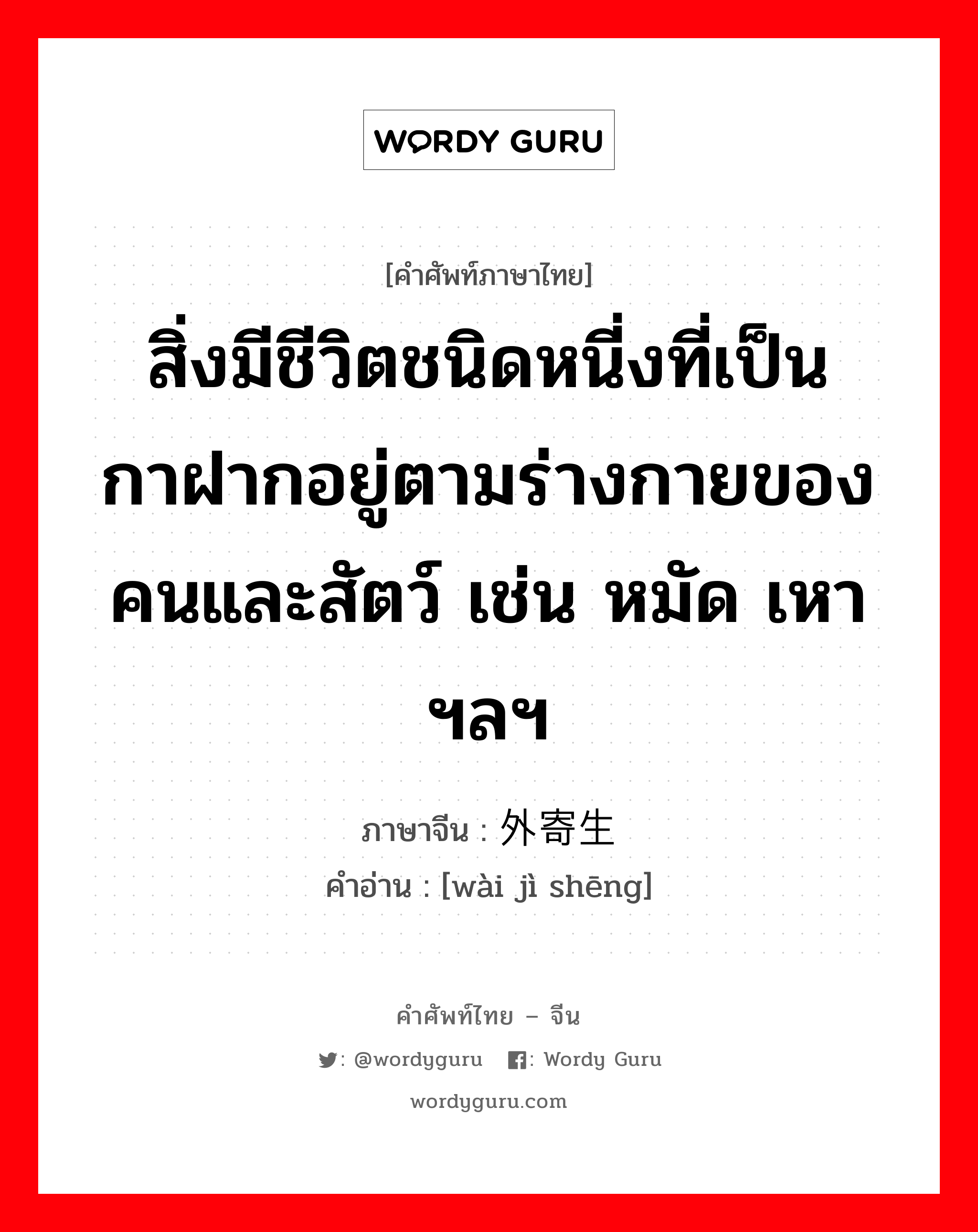 สิ่งมีชีวิตชนิดหนี่งที่เป็นกาฝากอยู่ตามร่างกายของคนและสัตว์ เช่น หมัด เหา ฯลฯ ภาษาจีนคืออะไร, คำศัพท์ภาษาไทย - จีน สิ่งมีชีวิตชนิดหนี่งที่เป็นกาฝากอยู่ตามร่างกายของคนและสัตว์ เช่น หมัด เหา ฯลฯ ภาษาจีน 外寄生 คำอ่าน [wài jì shēng]