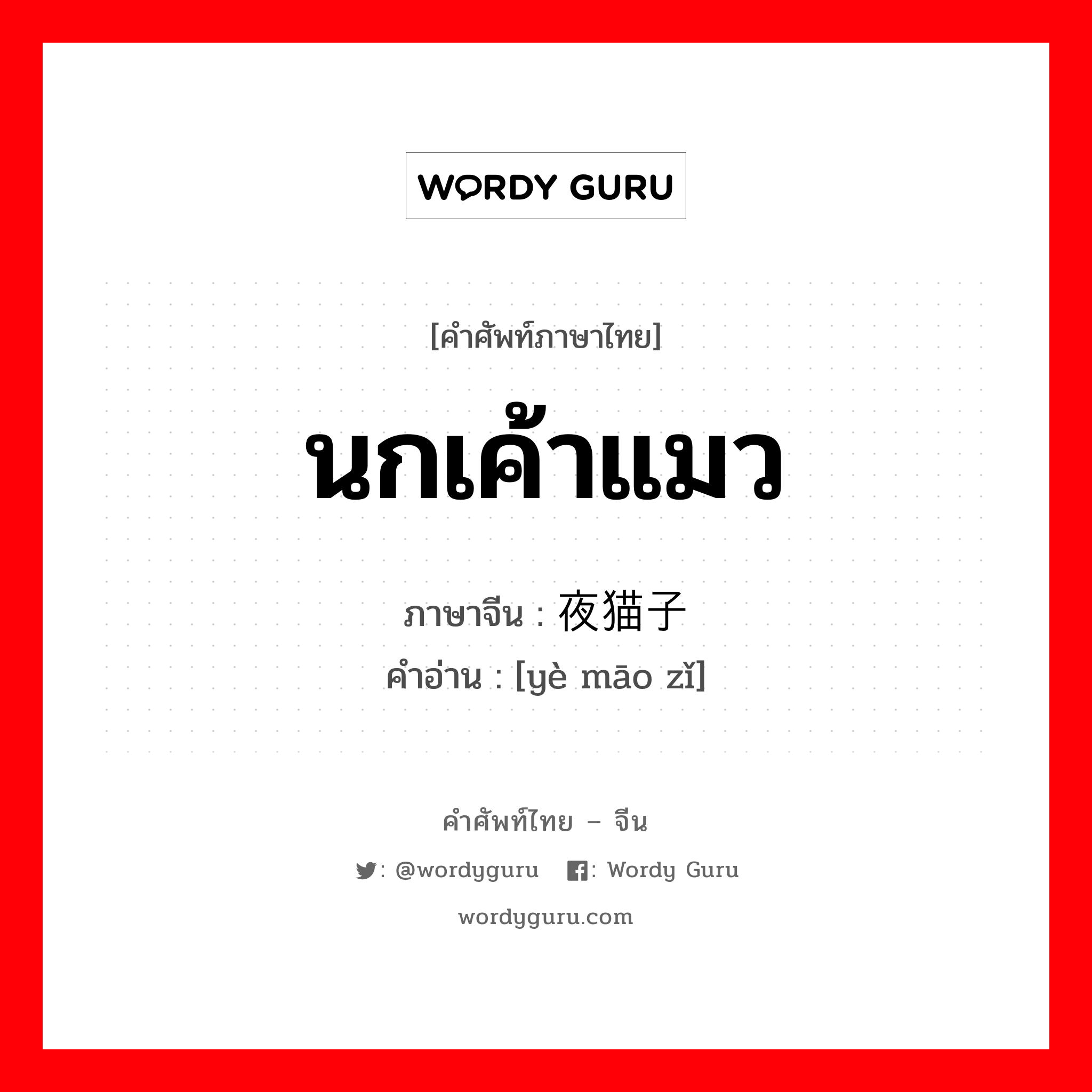 นกเค้าแมว ภาษาจีนคืออะไร, คำศัพท์ภาษาไทย - จีน นกเค้าแมว ภาษาจีน 夜猫子 คำอ่าน [yè māo zǐ]