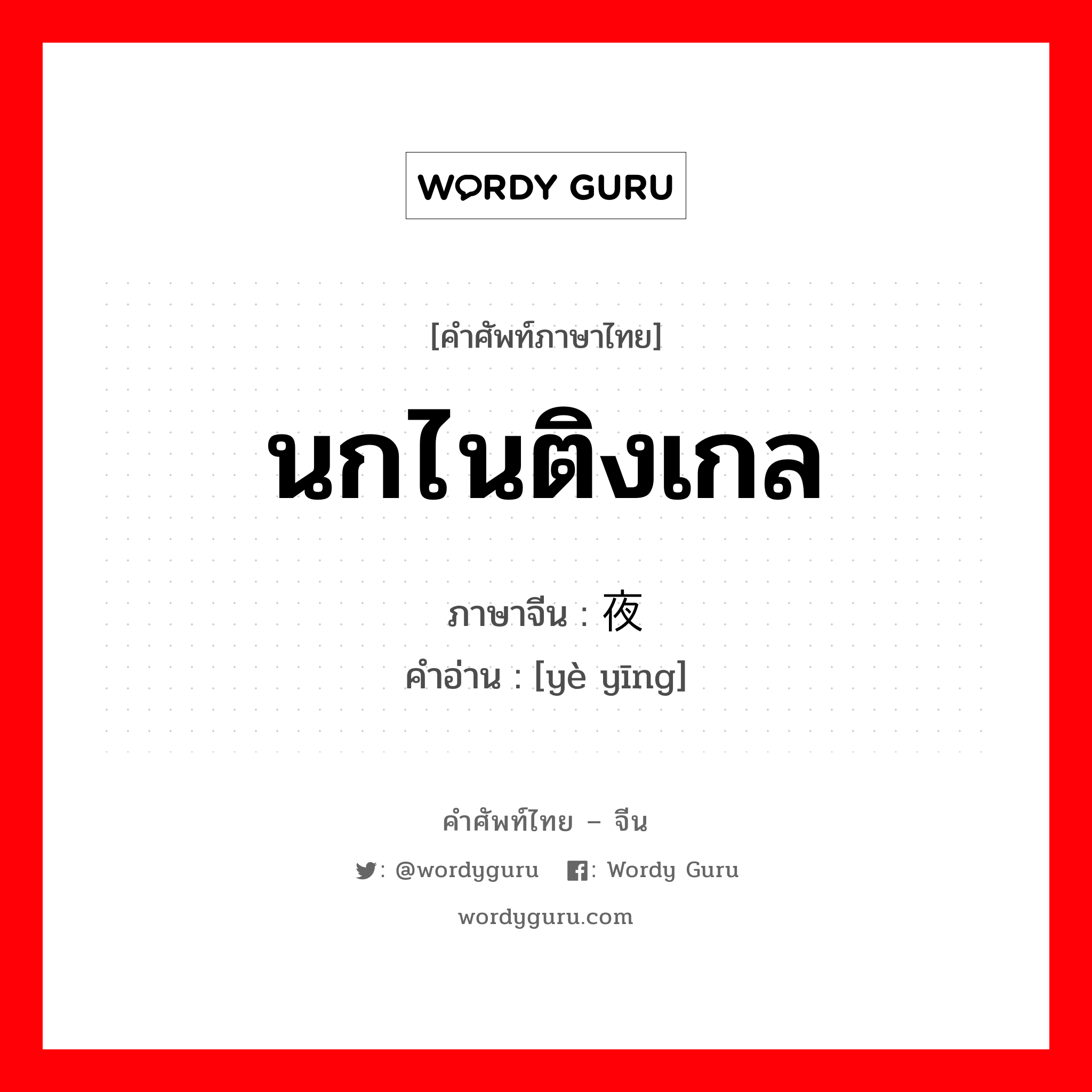 นกไนติงเกล ภาษาจีนคืออะไร, คำศัพท์ภาษาไทย - จีน นกไนติงเกล ภาษาจีน 夜莺 คำอ่าน [yè yīng]