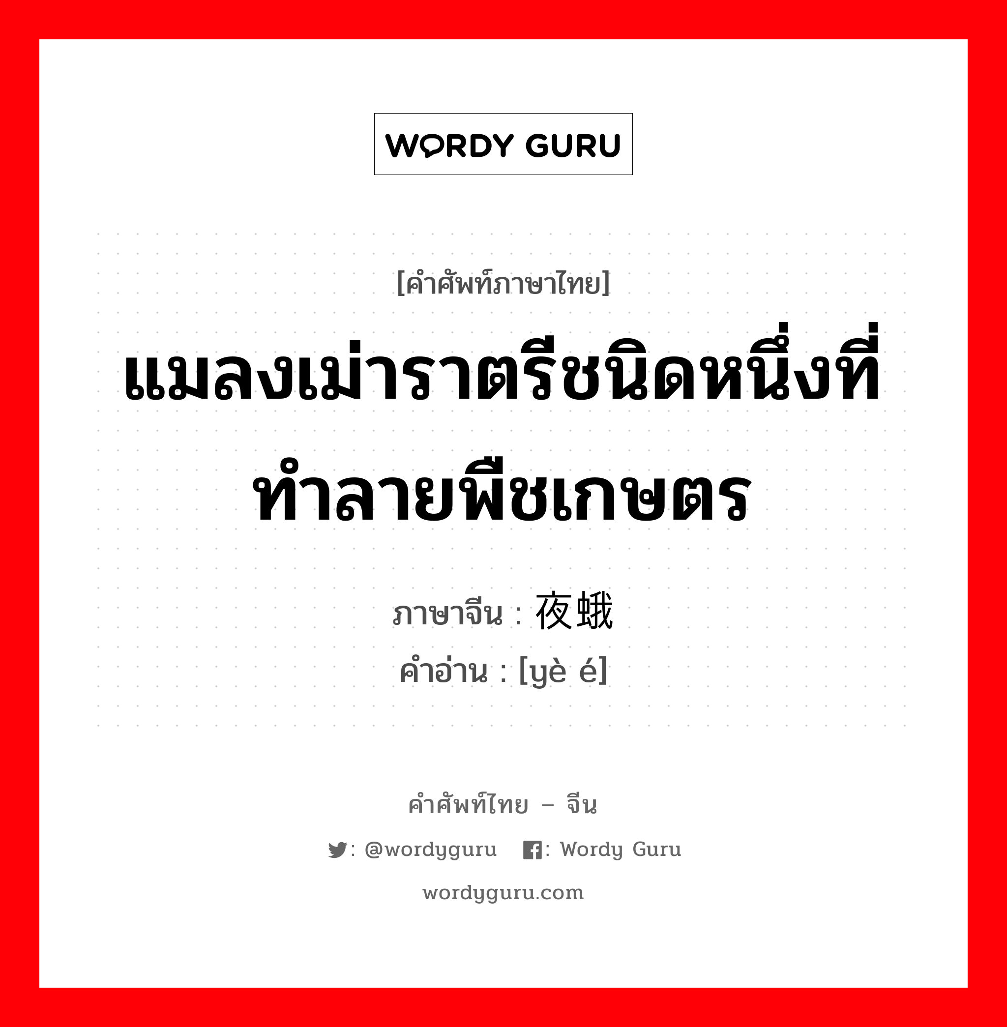 แมลงเม่าราตรีชนิดหนึ่งที่ทำลายพืชเกษตร ภาษาจีนคืออะไร, คำศัพท์ภาษาไทย - จีน แมลงเม่าราตรีชนิดหนึ่งที่ทำลายพืชเกษตร ภาษาจีน 夜蛾 คำอ่าน [yè é]