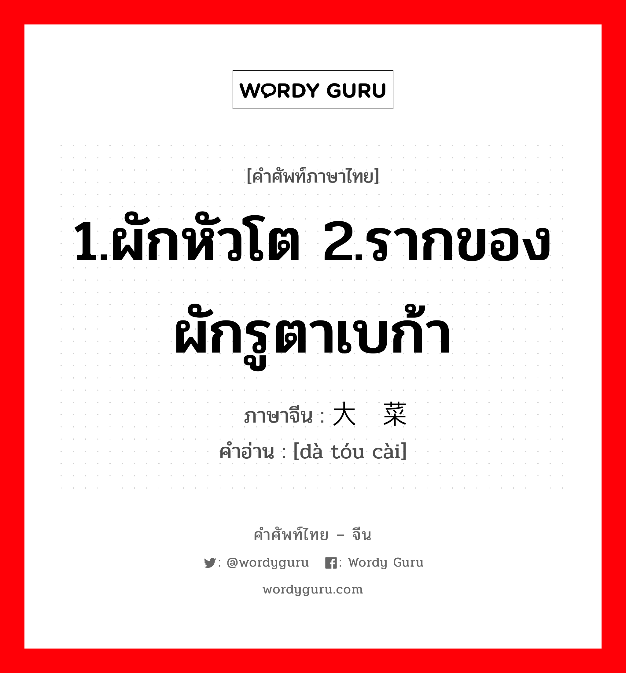 1.ผักหัวโต 2.รากของผักรูตาเบก้า ภาษาจีนคืออะไร, คำศัพท์ภาษาไทย - จีน 1.ผักหัวโต 2.รากของผักรูตาเบก้า ภาษาจีน 大头菜 คำอ่าน [dà tóu cài]