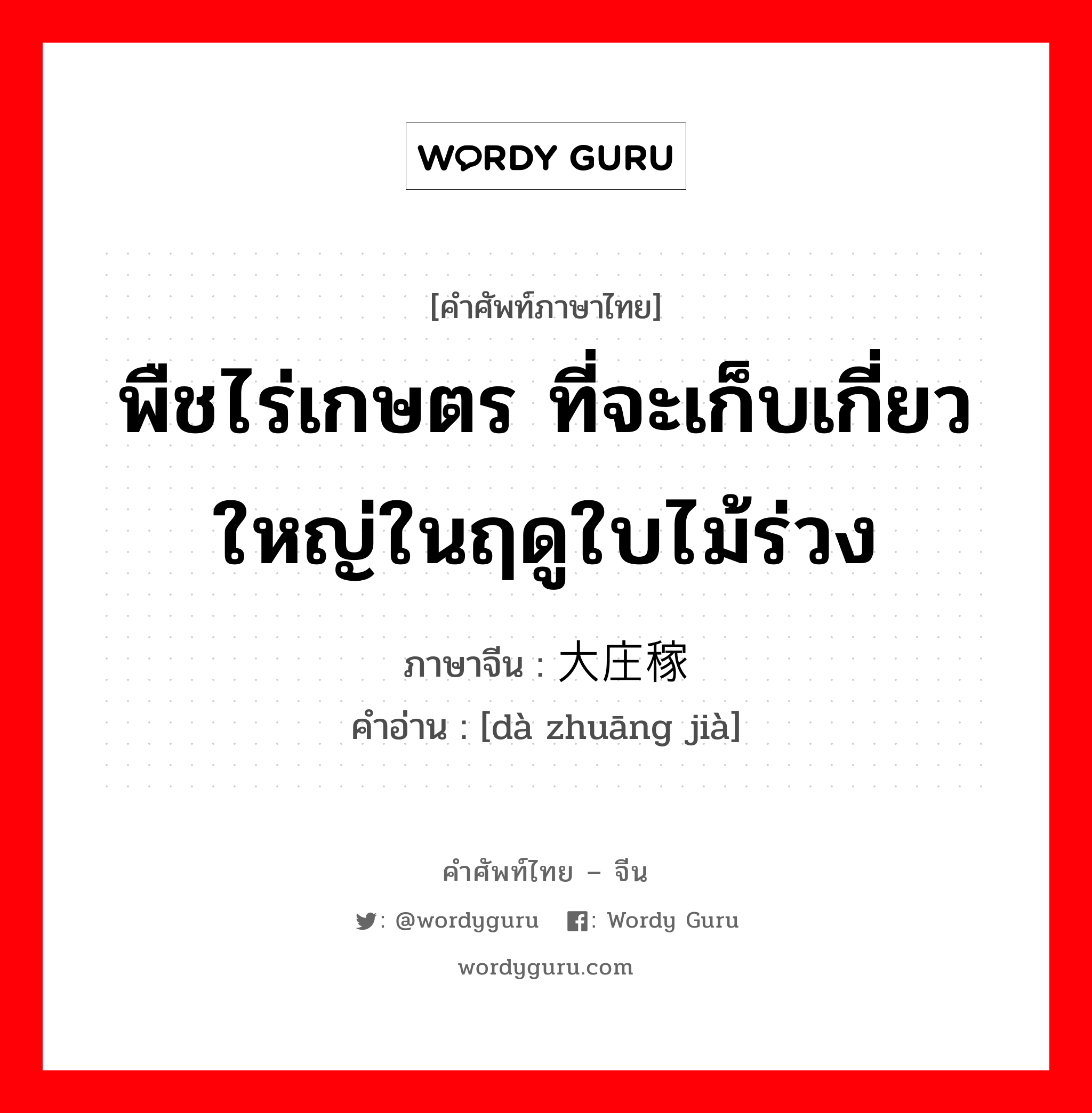 พืชไร่เกษตร ที่จะเก็บเกี่ยวใหญ่ในฤดูใบไม้ร่วง ภาษาจีนคืออะไร, คำศัพท์ภาษาไทย - จีน พืชไร่เกษตร ที่จะเก็บเกี่ยวใหญ่ในฤดูใบไม้ร่วง ภาษาจีน 大庄稼 คำอ่าน [dà zhuāng jià]