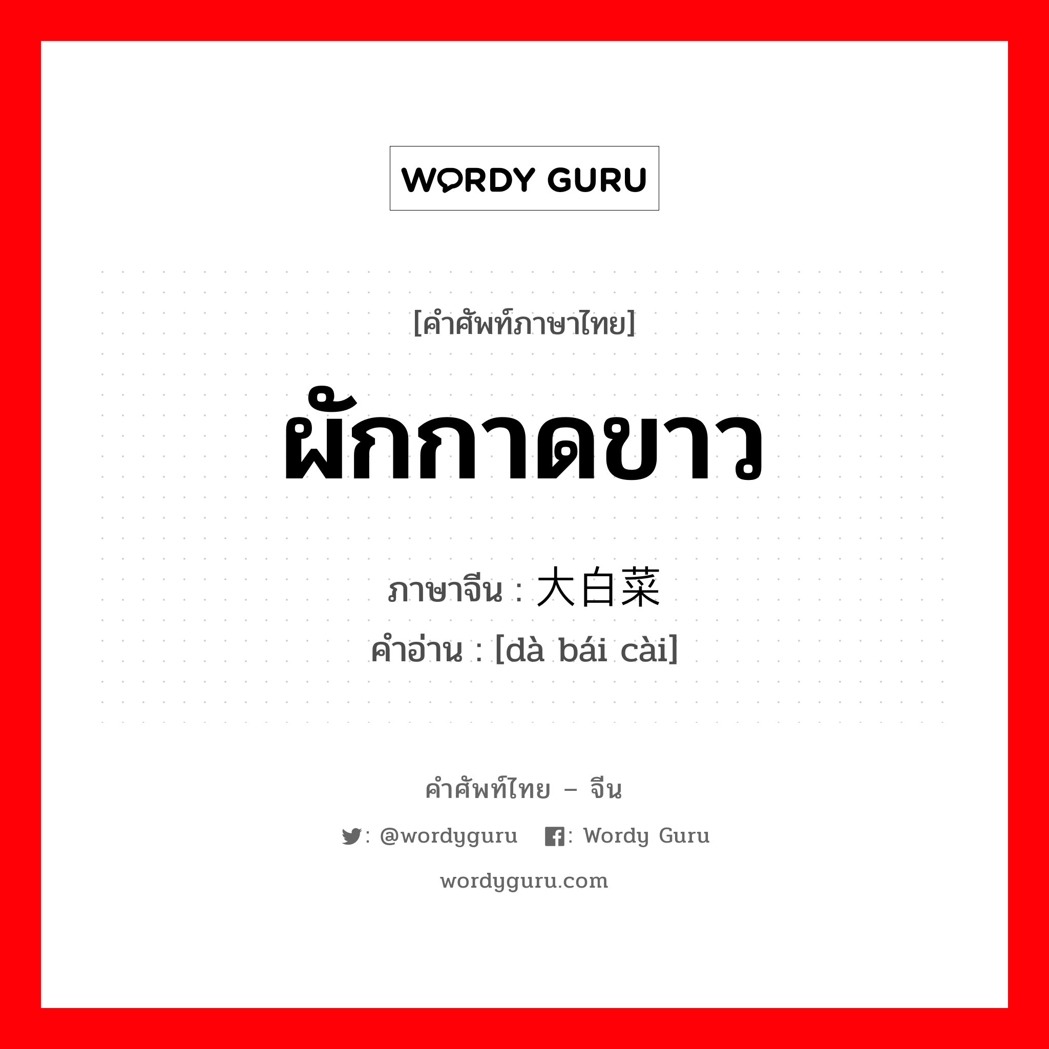 ผักกาดขาว ภาษาจีนคืออะไร, คำศัพท์ภาษาไทย - จีน ผักกาดขาว ภาษาจีน 大白菜 คำอ่าน [dà bái cài]