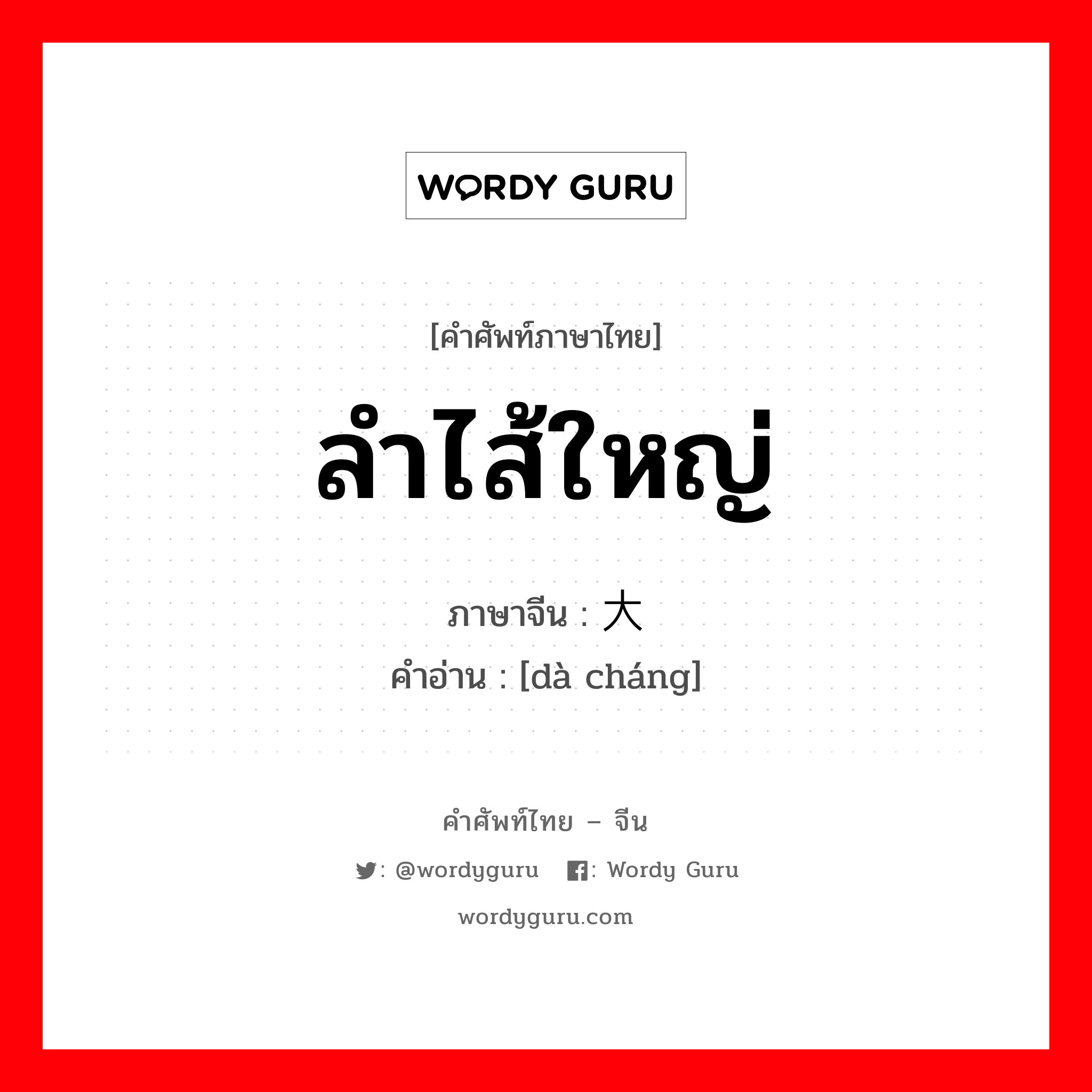 ลำไส้ใหญ่ ภาษาจีนคืออะไร, คำศัพท์ภาษาไทย - จีน ลำไส้ใหญ่ ภาษาจีน 大肠 คำอ่าน [dà cháng]