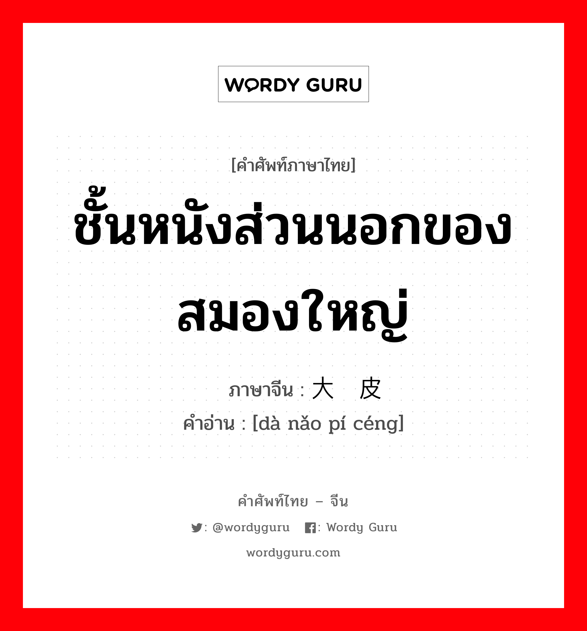 ชั้นหนังส่วนนอกของสมองใหญ่ ภาษาจีนคืออะไร, คำศัพท์ภาษาไทย - จีน ชั้นหนังส่วนนอกของสมองใหญ่ ภาษาจีน 大脑皮层 คำอ่าน [dà nǎo pí céng]