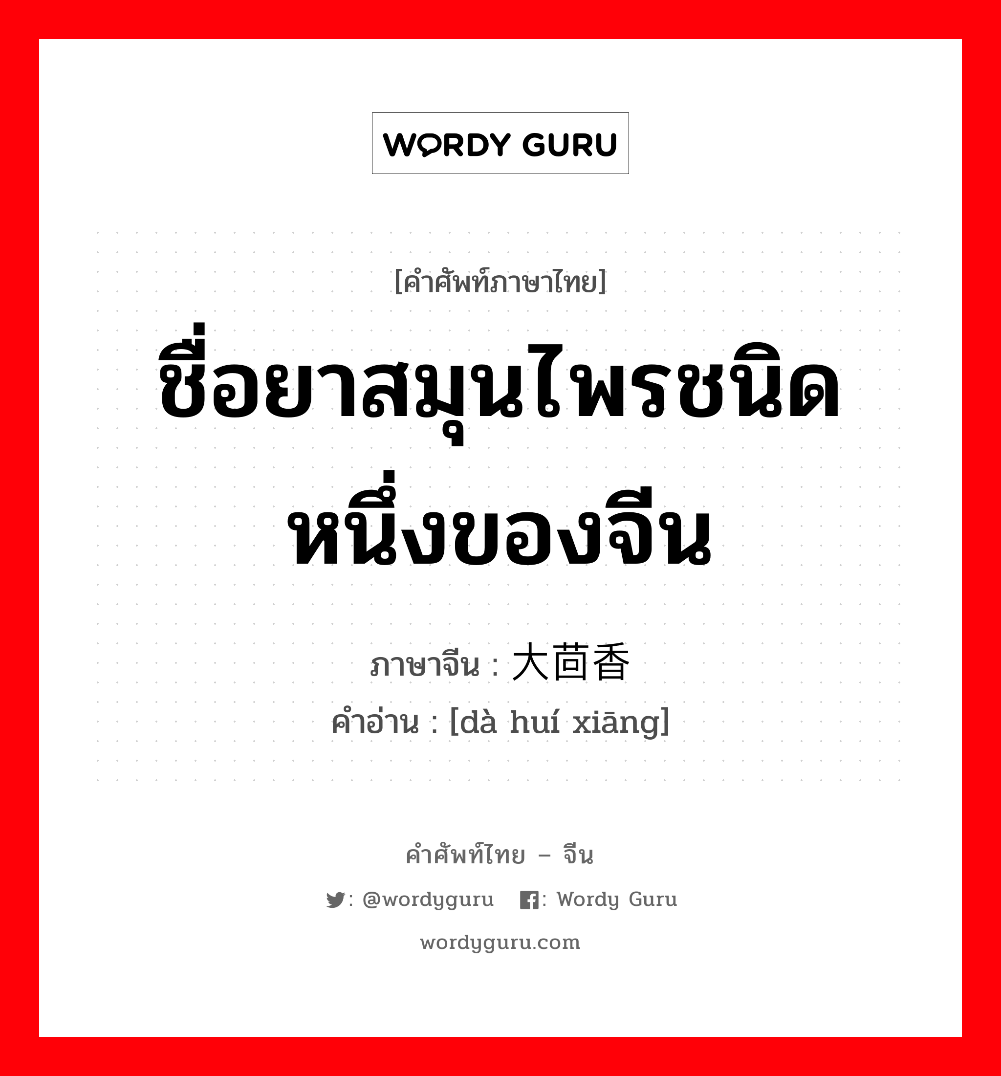 ชื่อยาสมุนไพรชนิดหนึ่งของจีน ภาษาจีนคืออะไร, คำศัพท์ภาษาไทย - จีน ชื่อยาสมุนไพรชนิดหนึ่งของจีน ภาษาจีน 大茴香 คำอ่าน [dà huí xiāng]