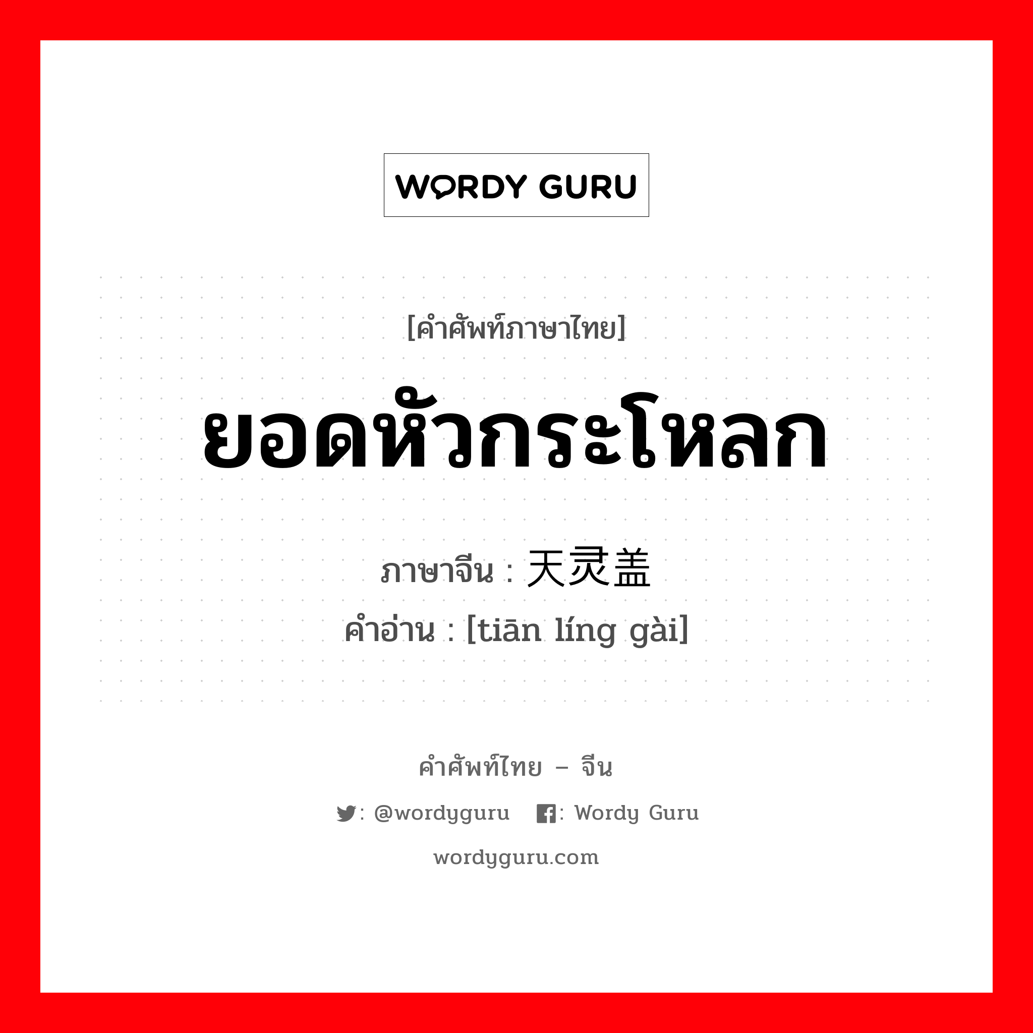 ยอดหัวกระโหลก ภาษาจีนคืออะไร, คำศัพท์ภาษาไทย - จีน ยอดหัวกระโหลก ภาษาจีน 天灵盖 คำอ่าน [tiān líng gài]