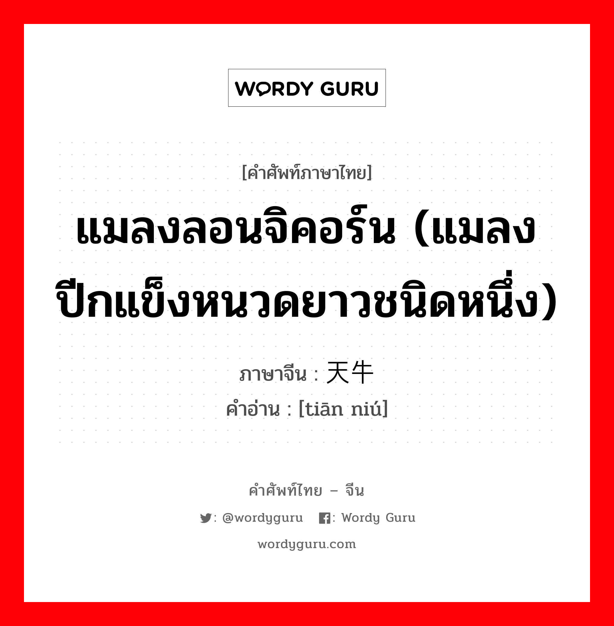 แมลงลอนจิคอร์น (แมลงปีกแข็งหนวดยาวชนิดหนึ่ง) ภาษาจีนคืออะไร, คำศัพท์ภาษาไทย - จีน แมลงลอนจิคอร์น (แมลงปีกแข็งหนวดยาวชนิดหนึ่ง) ภาษาจีน 天牛 คำอ่าน [tiān niú]