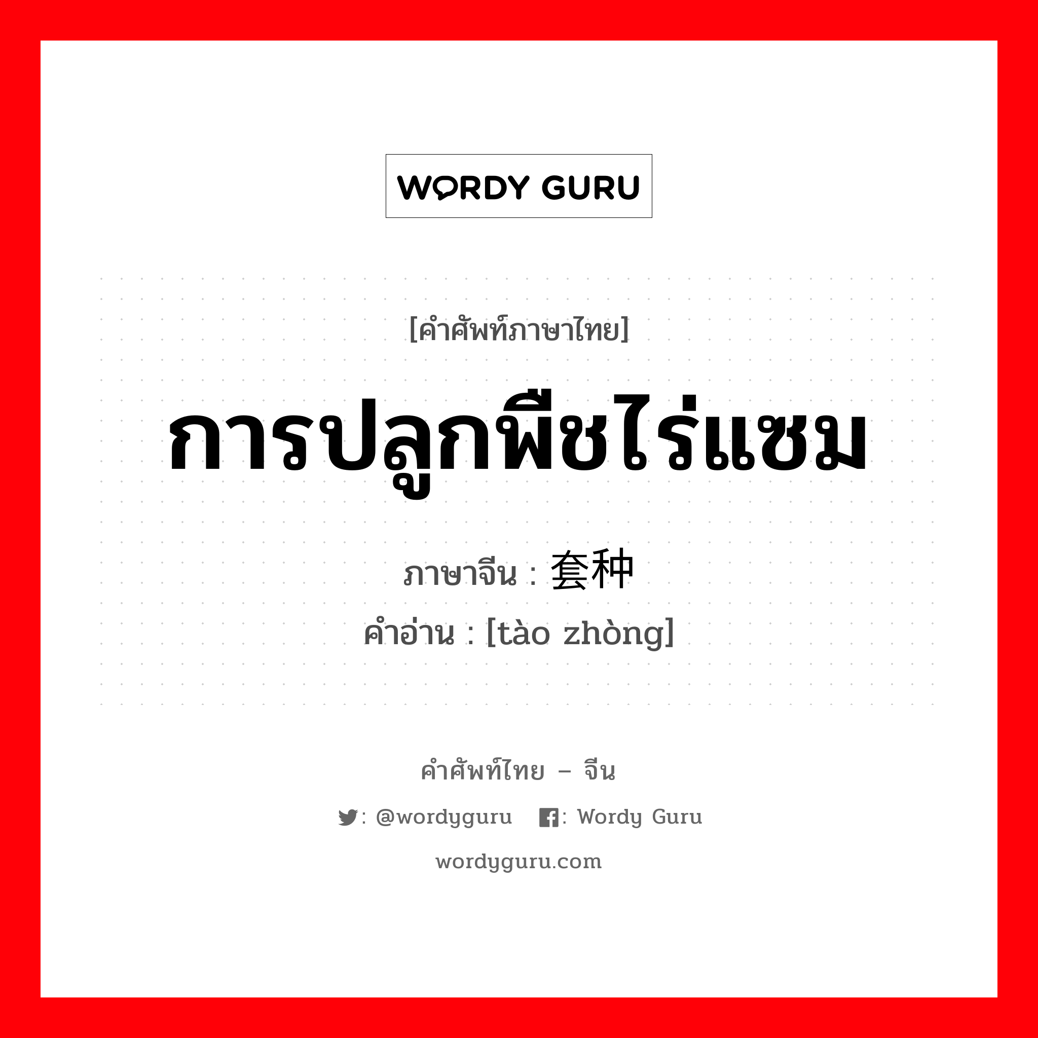 การปลูกพืชไร่แซม ภาษาจีนคืออะไร, คำศัพท์ภาษาไทย - จีน การปลูกพืชไร่แซม ภาษาจีน 套种 คำอ่าน [tào zhòng]