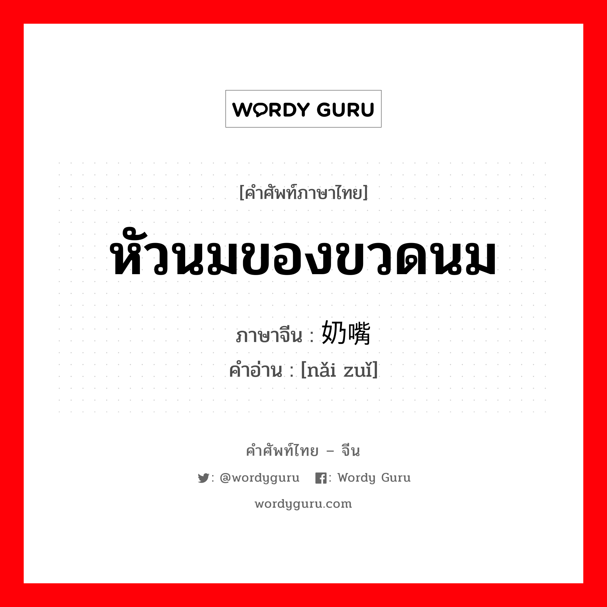 หัวนมของขวดนม ภาษาจีนคืออะไร, คำศัพท์ภาษาไทย - จีน หัวนมของขวดนม ภาษาจีน 奶嘴 คำอ่าน [nǎi zuǐ]