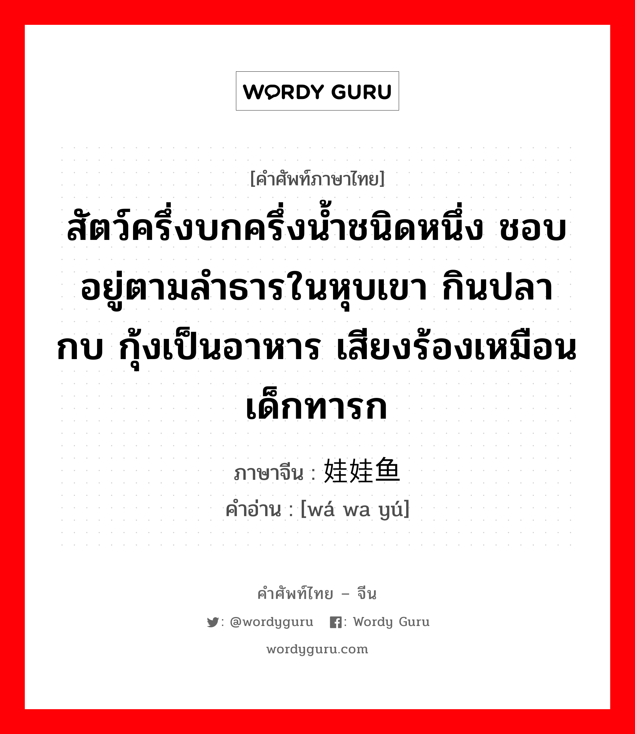 สัตว์ครึ่งบกครึ่งน้ำชนิดหนึ่ง ชอบอยู่ตามลำธารในหุบเขา กินปลา กบ กุ้งเป็นอาหาร เสียงร้องเหมือนเด็กทารก ภาษาจีนคืออะไร, คำศัพท์ภาษาไทย - จีน สัตว์ครึ่งบกครึ่งน้ำชนิดหนึ่ง ชอบอยู่ตามลำธารในหุบเขา กินปลา กบ กุ้งเป็นอาหาร เสียงร้องเหมือนเด็กทารก ภาษาจีน 娃娃鱼 คำอ่าน [wá wa yú]