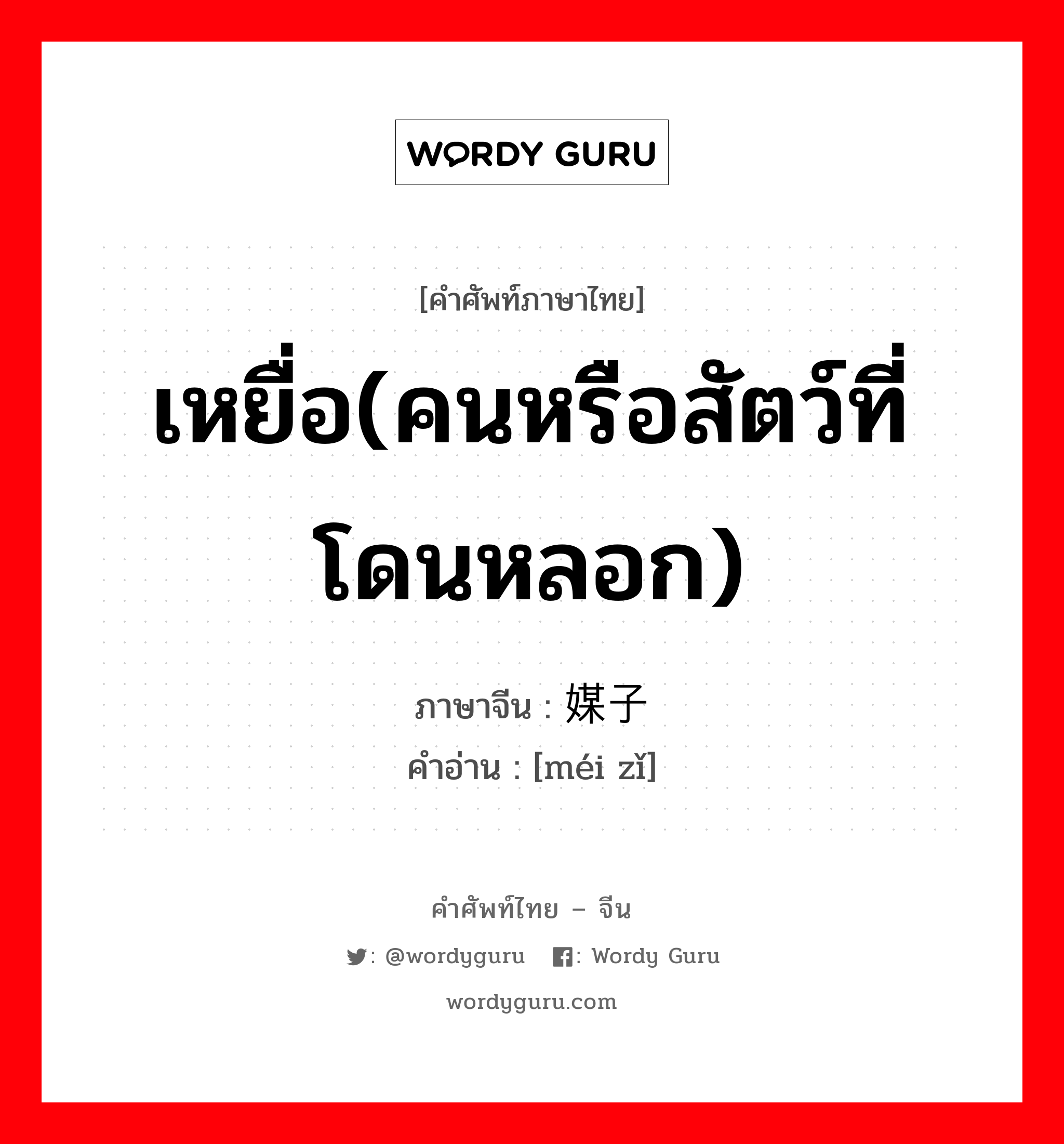 เหยื่อ(คนหรือสัตว์ที่โดนหลอก) ภาษาจีนคืออะไร, คำศัพท์ภาษาไทย - จีน เหยื่อ(คนหรือสัตว์ที่โดนหลอก) ภาษาจีน 媒子 คำอ่าน [méi zǐ]