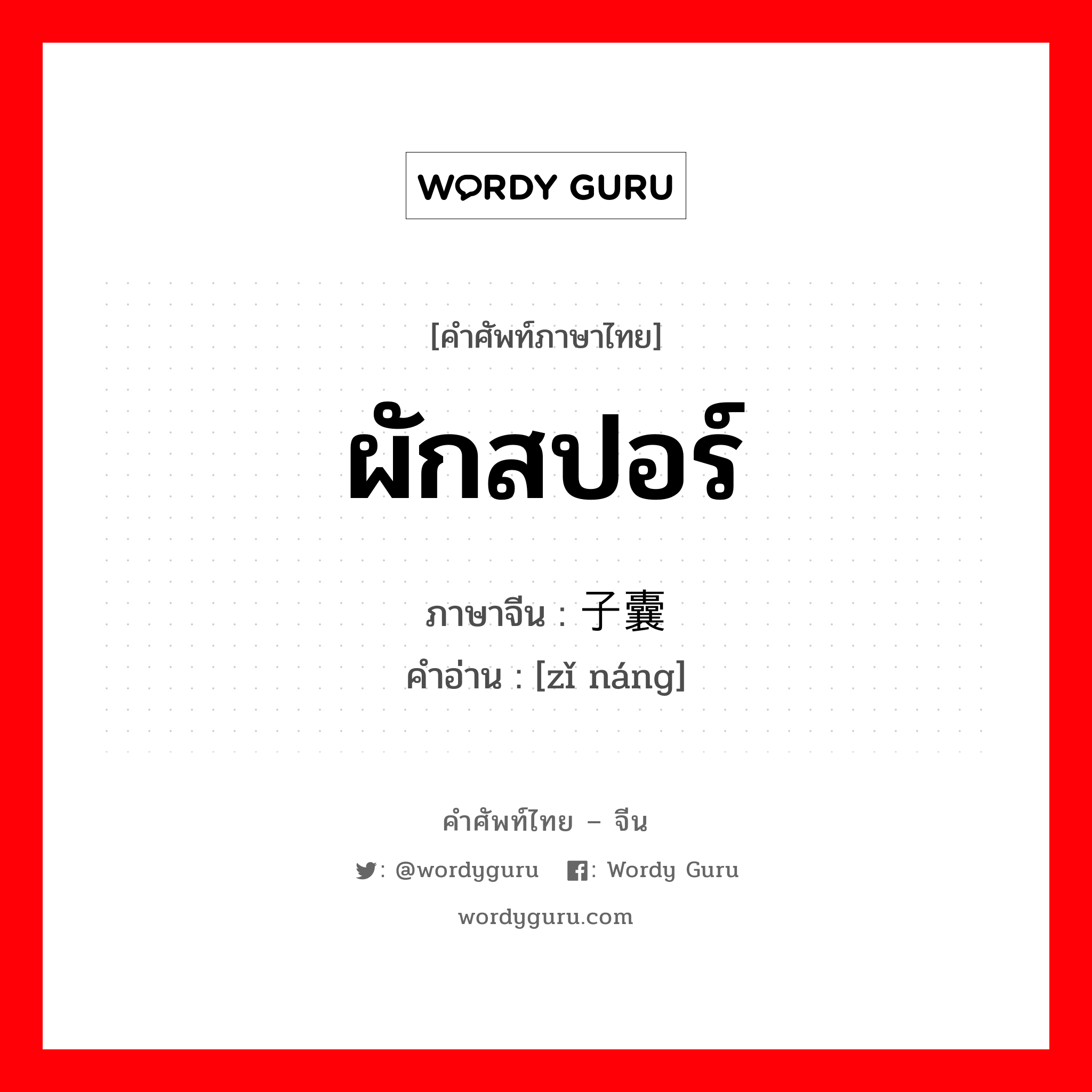 ผักสปอร์ ภาษาจีนคืออะไร, คำศัพท์ภาษาไทย - จีน ผักสปอร์ ภาษาจีน 子囊 คำอ่าน [zǐ náng]