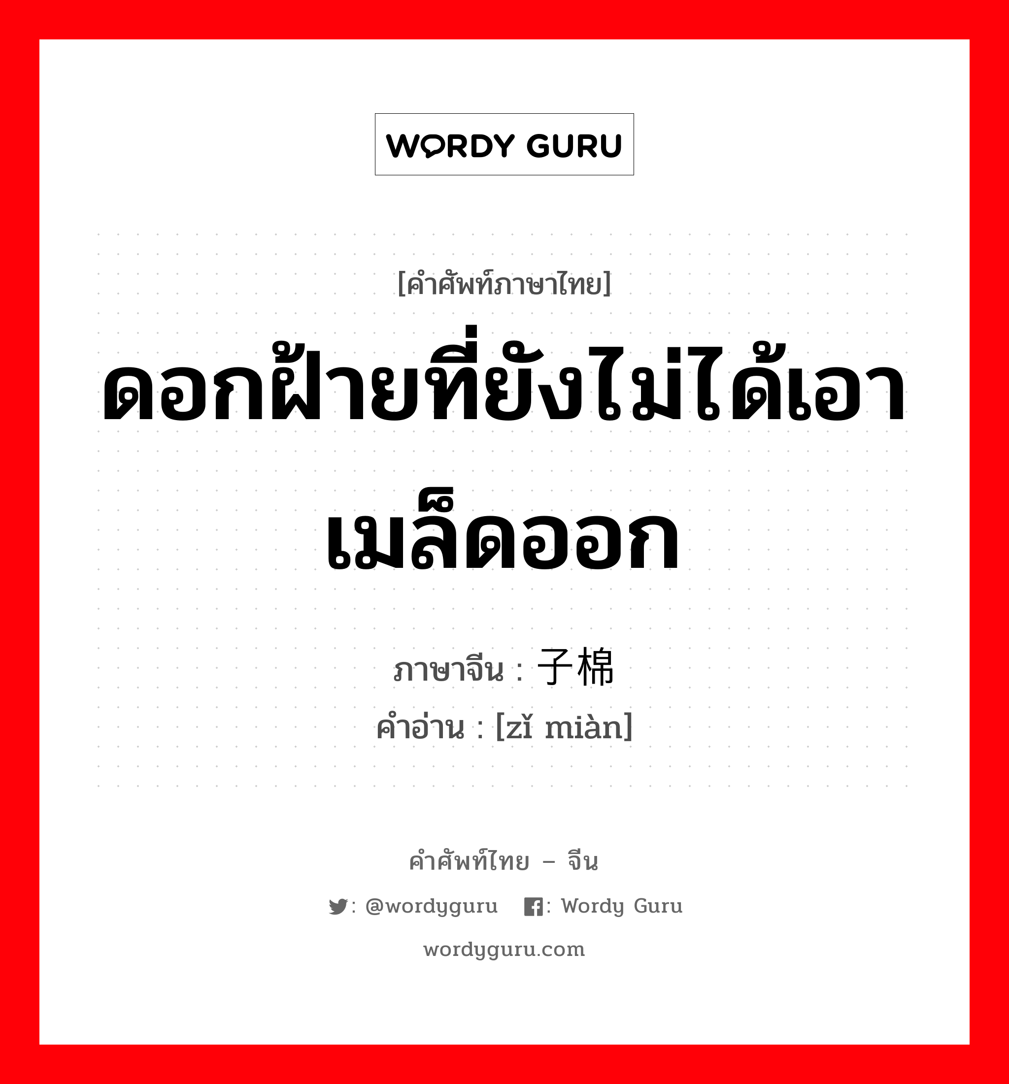 ดอกฝ้ายที่ยังไม่ได้เอาเมล็ดออก ภาษาจีนคืออะไร, คำศัพท์ภาษาไทย - จีน ดอกฝ้ายที่ยังไม่ได้เอาเมล็ดออก ภาษาจีน 子棉 คำอ่าน [zǐ miàn]